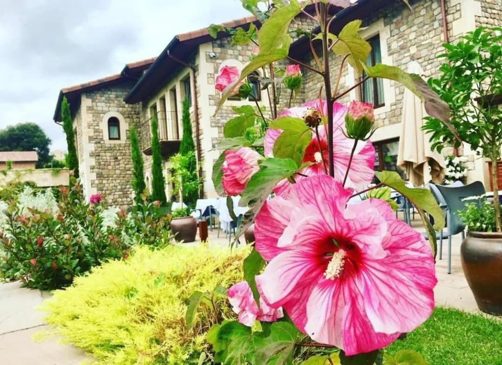 La Fuentona de Santillana