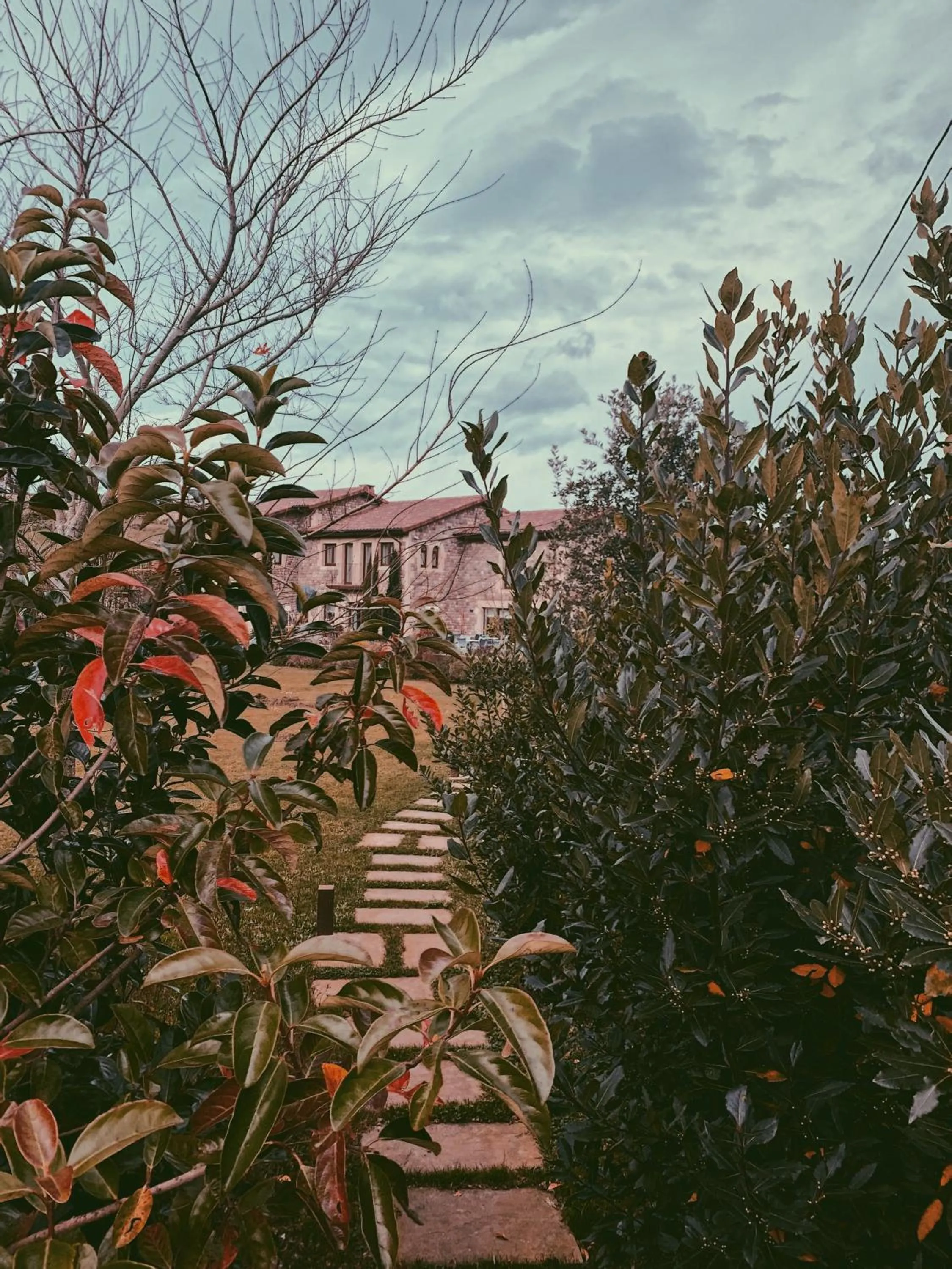 La Fuentona de Santillana