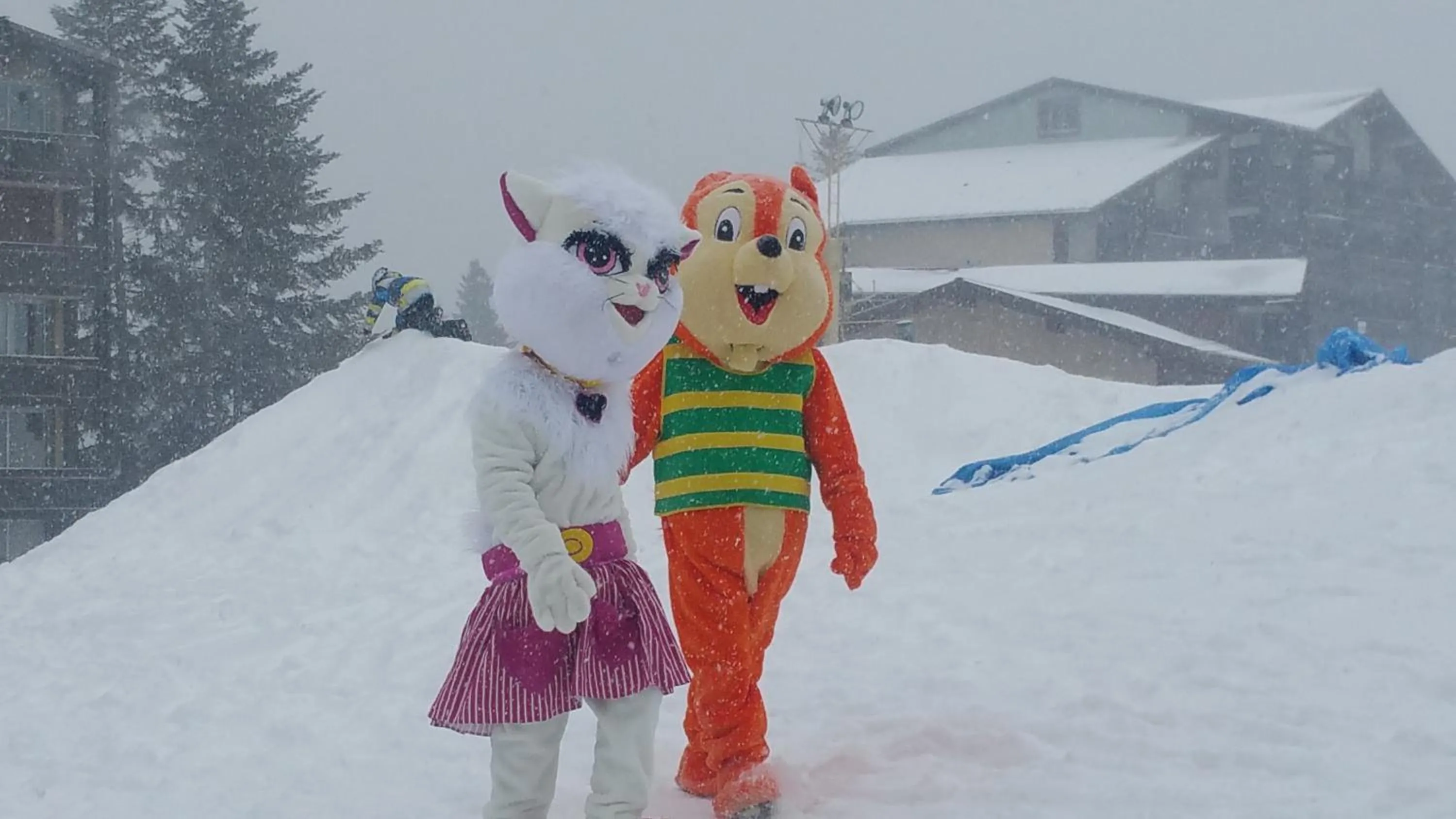 Les Blanches Provençales