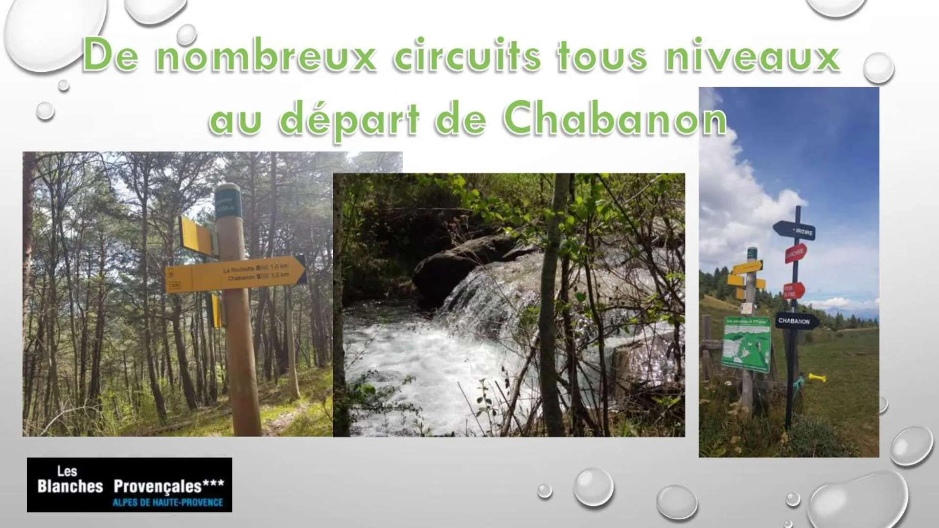 Les Blanches Provençales