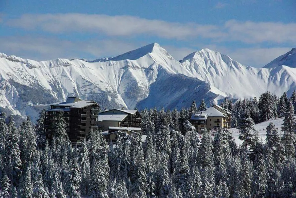 Les Blanches Provençales