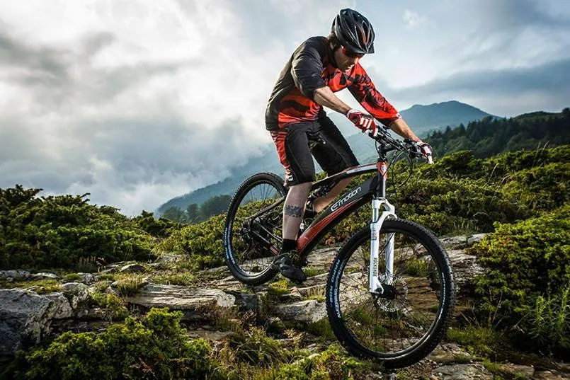 Les Blanches Provençales