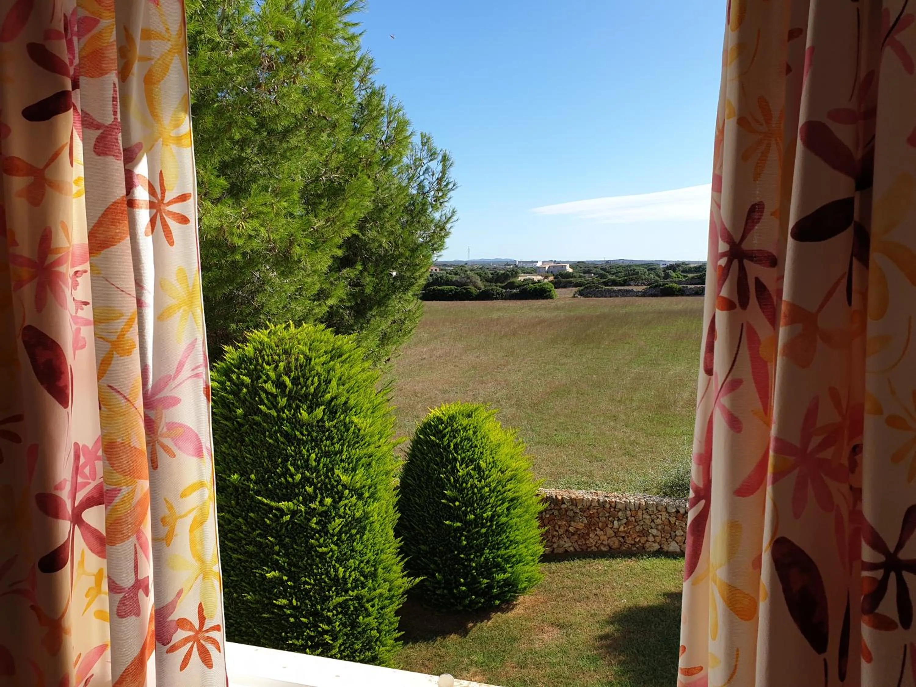 Garden view in Apartamentos Piscis