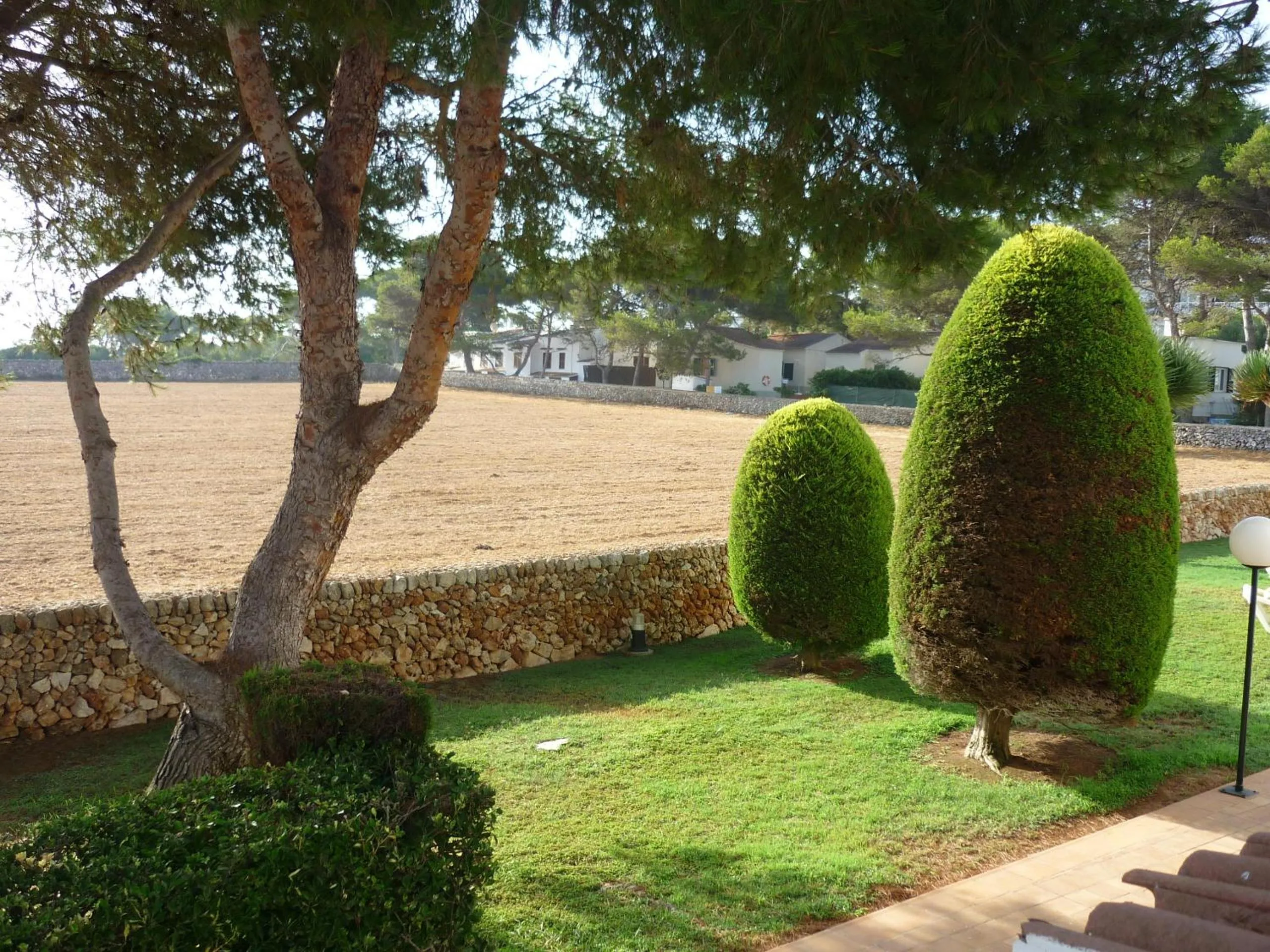 Garden in Apartamentos Piscis