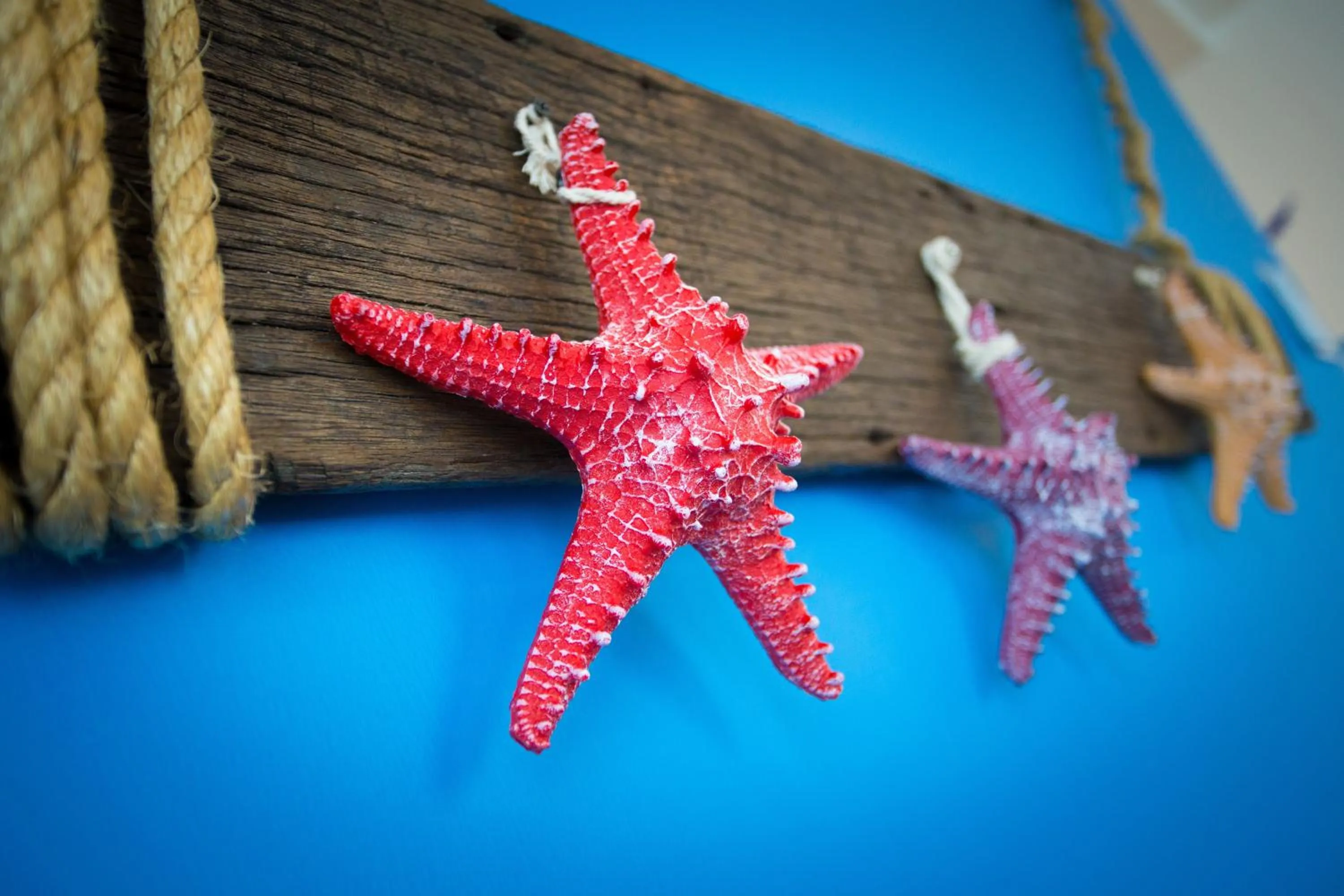 Hard Rock VIP Guest House