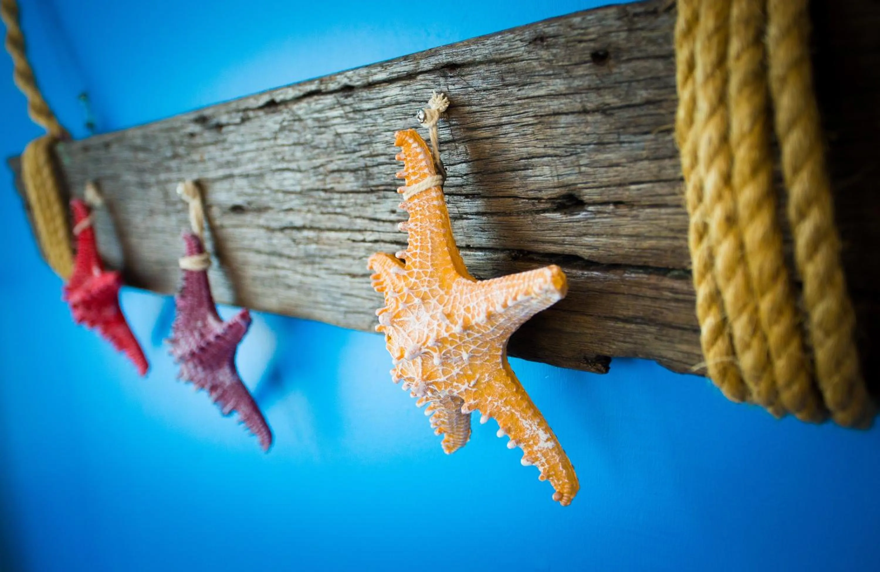 Hard Rock VIP Guest House