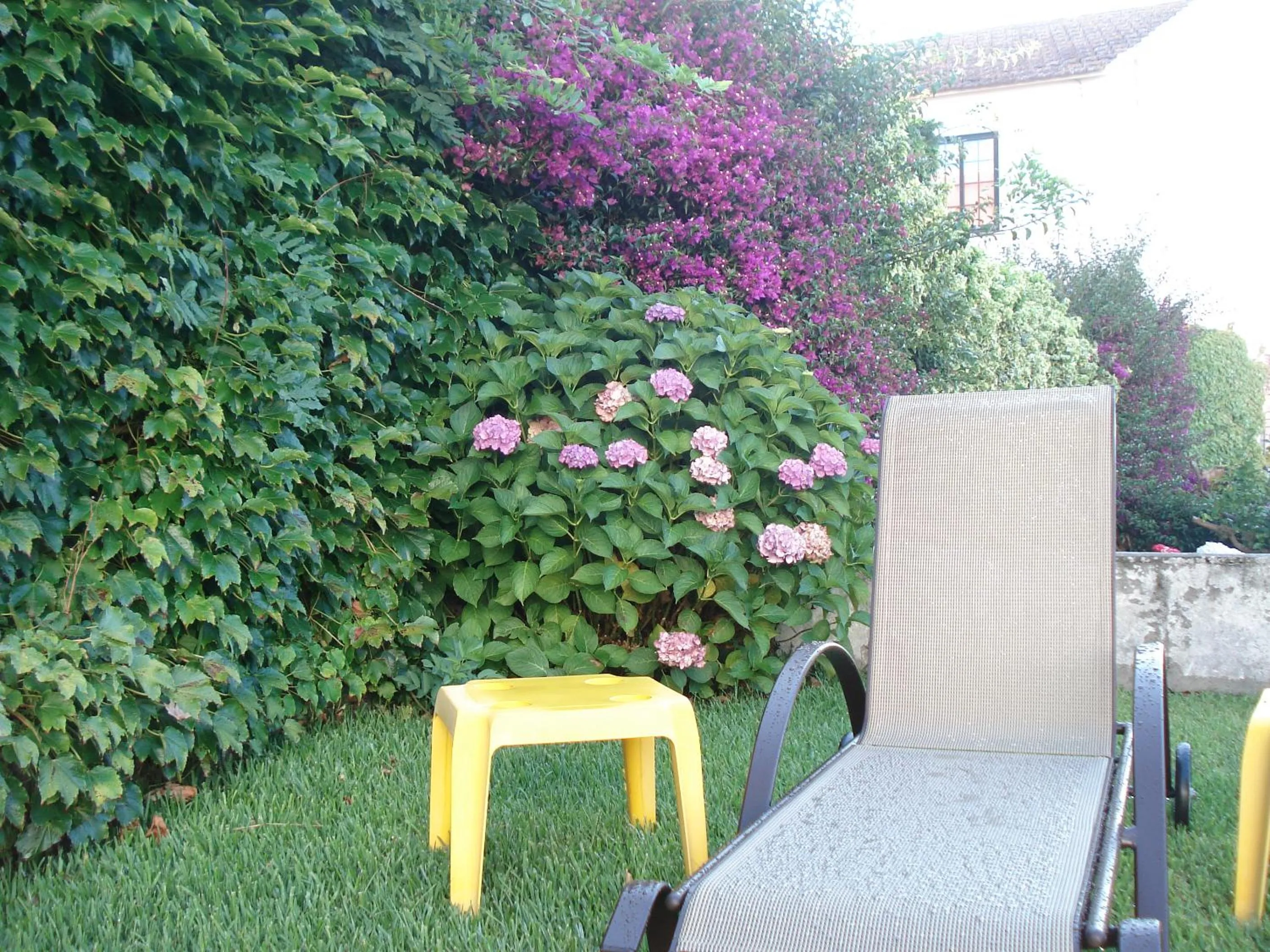 Garden in Hotel Siroco