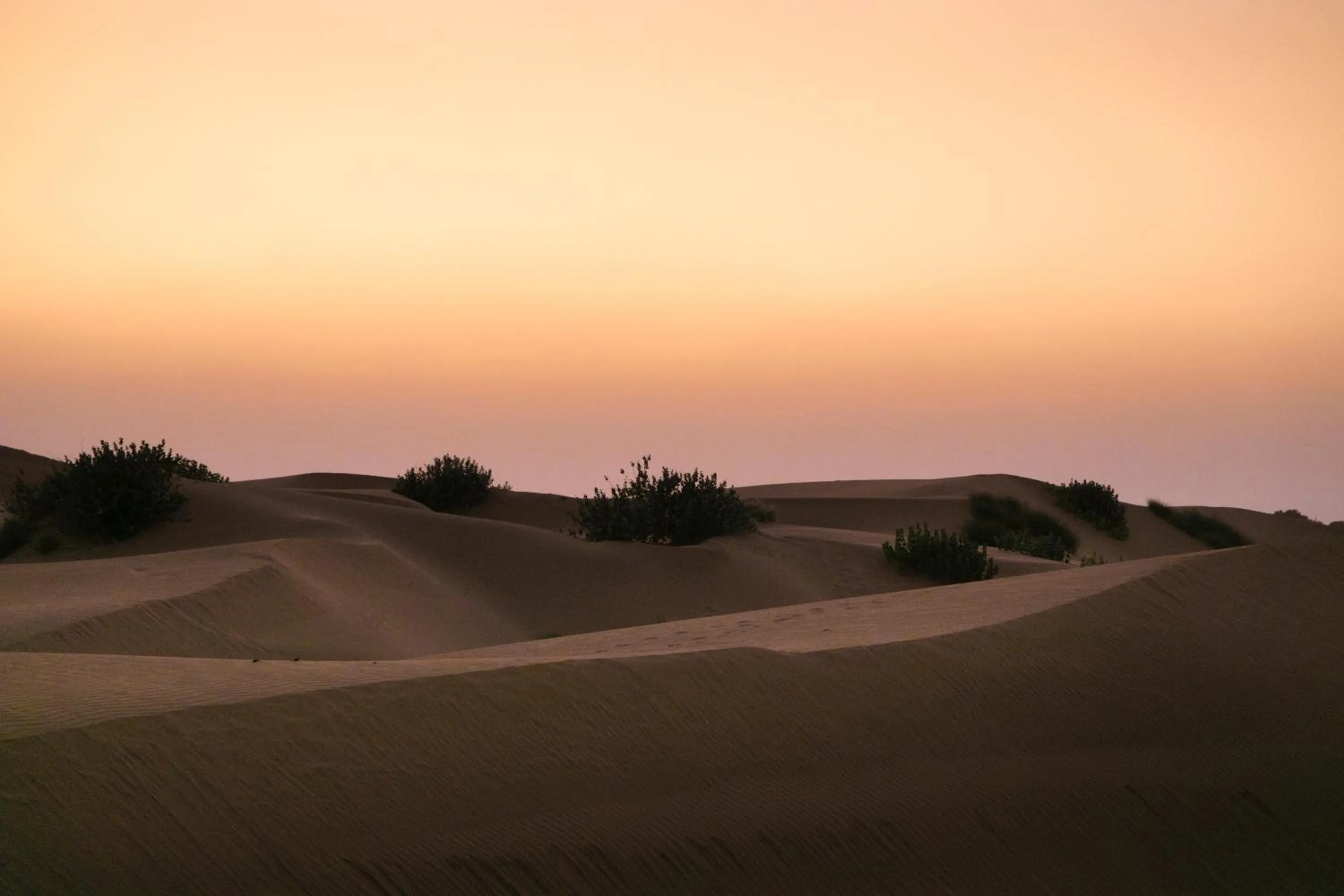Natural landscape in Casa De Kaku Jaisalmer