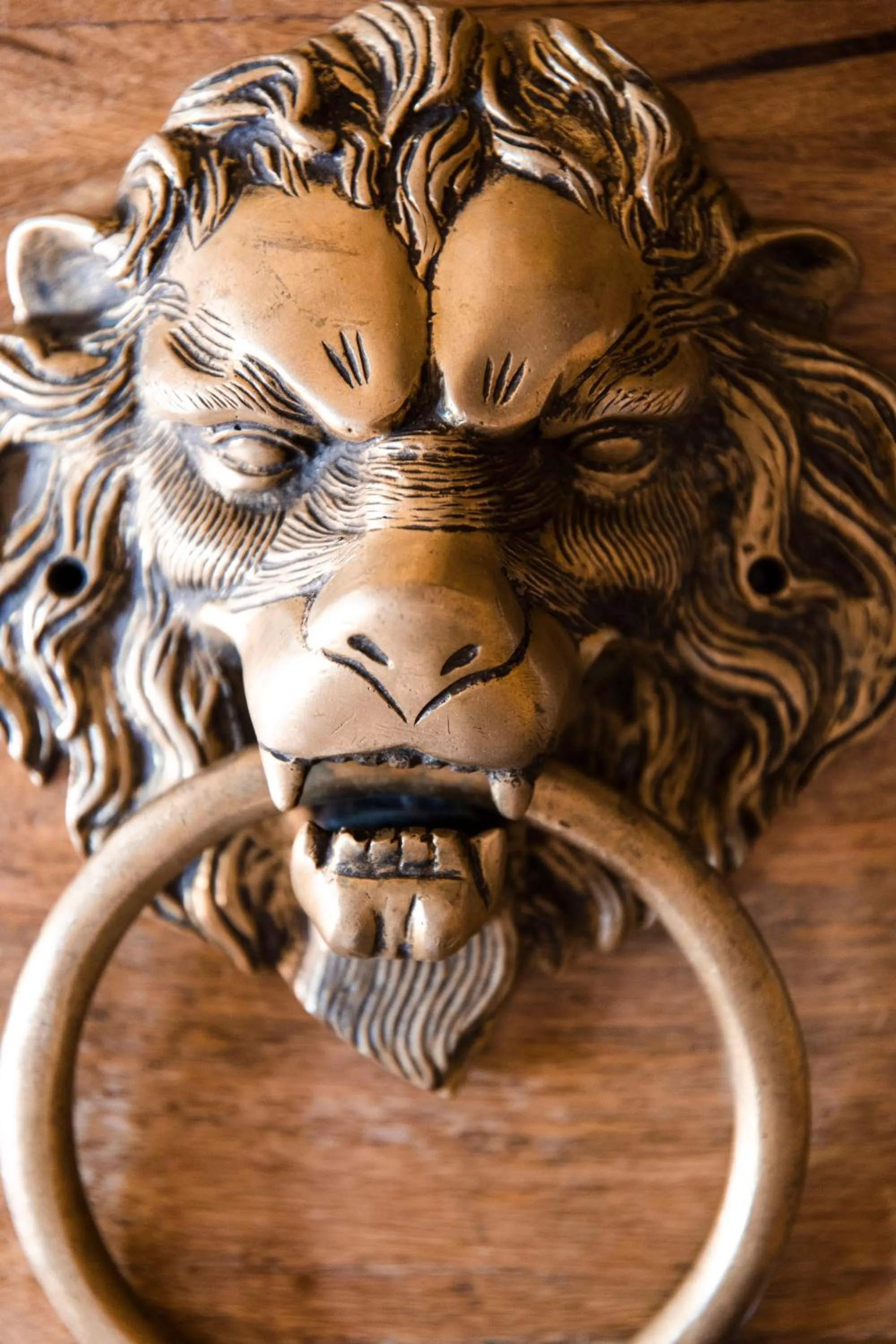 microwave in Casa De Kaku Jaisalmer