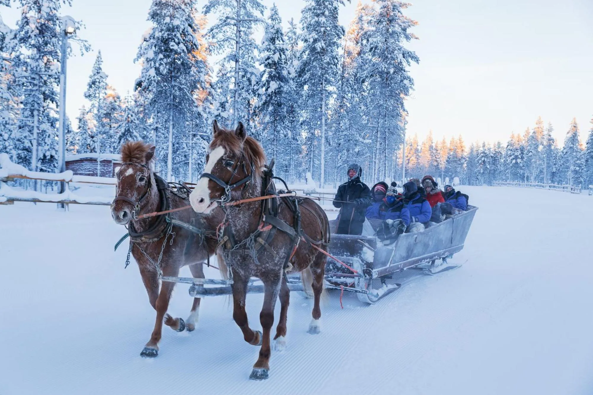 People in Kakslauttanen Arctic Resort - Igloos and Chalets