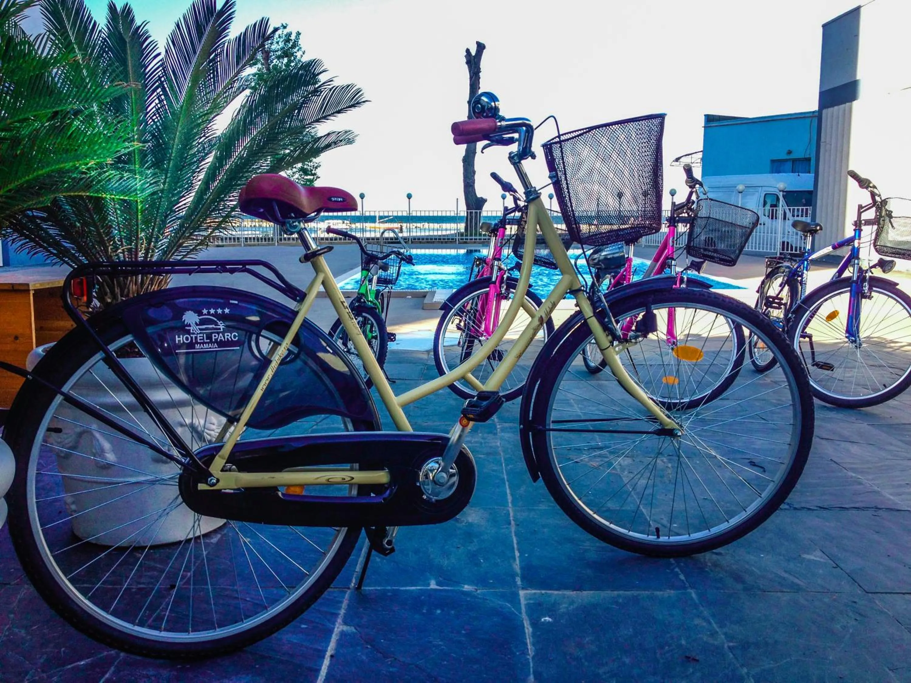 Cycling in Hotel Parc