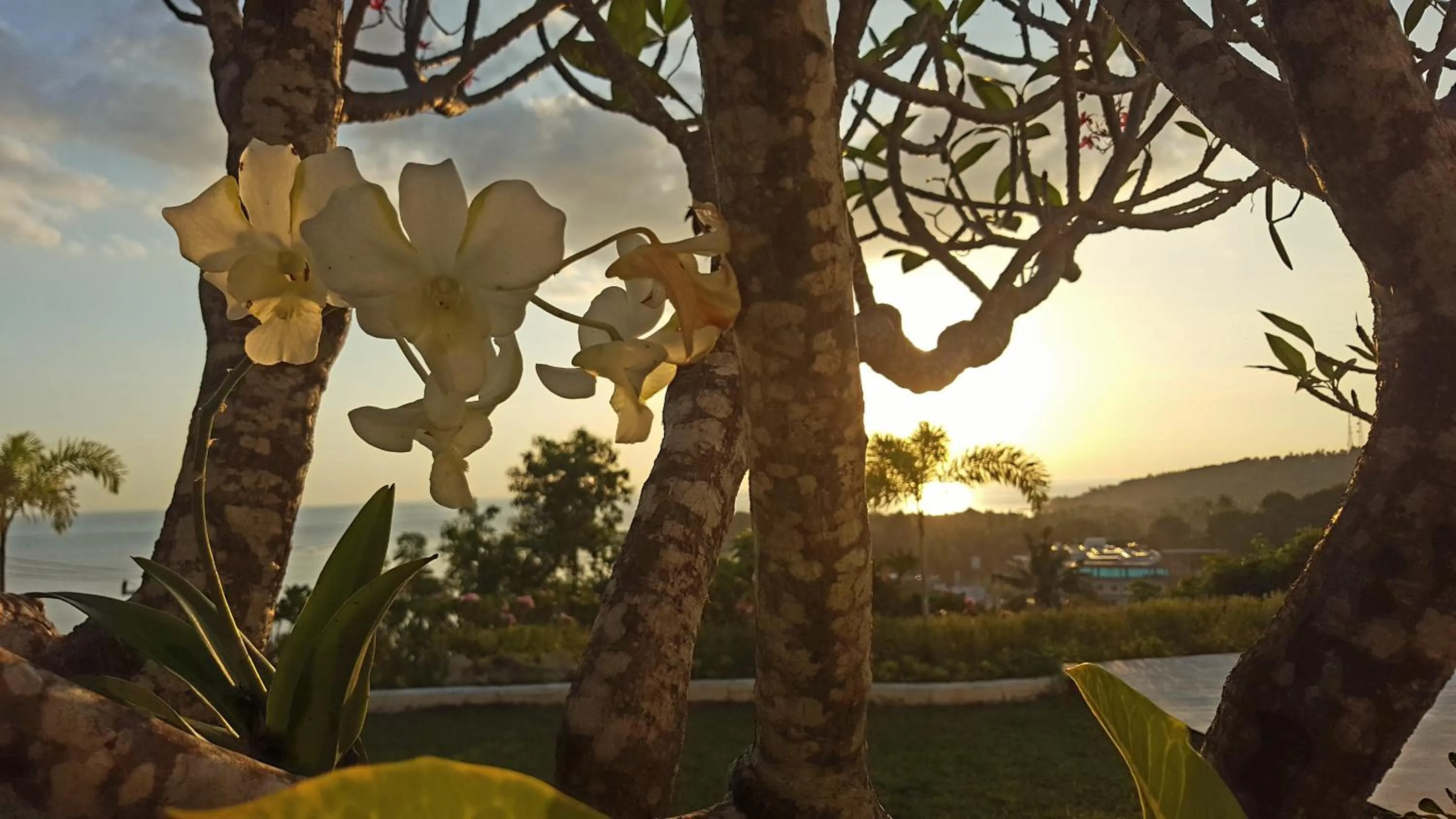 Garden in Villa Kipas Retreat