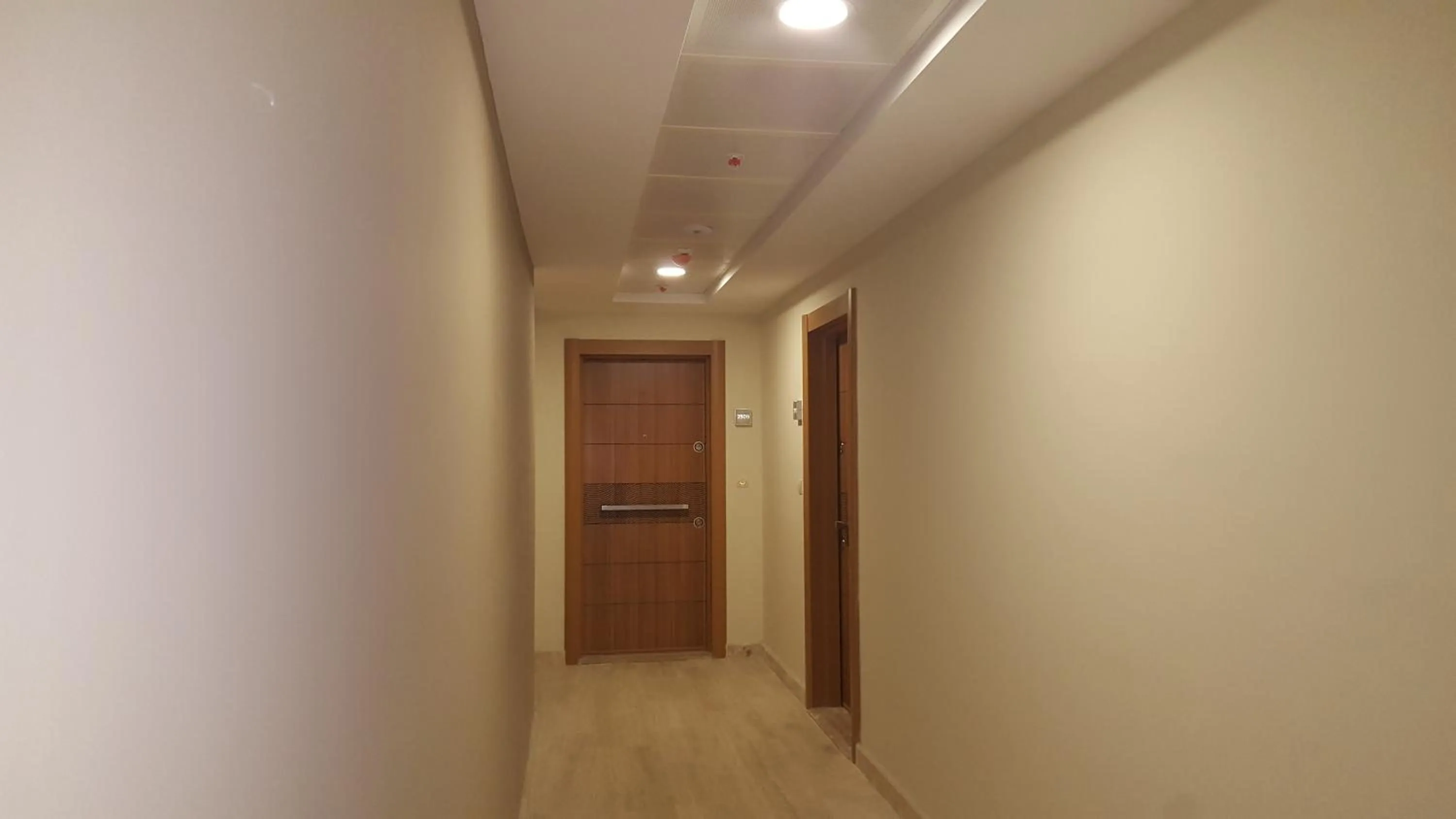 Decorative detail in Mimino Apartment Deluxe First Line (C II)