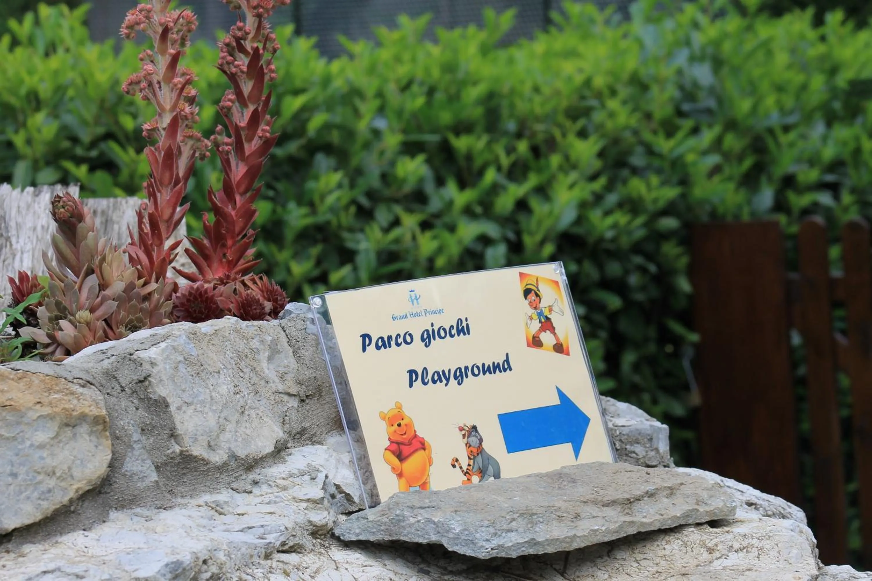 Game Room in Grand Hotel Principe