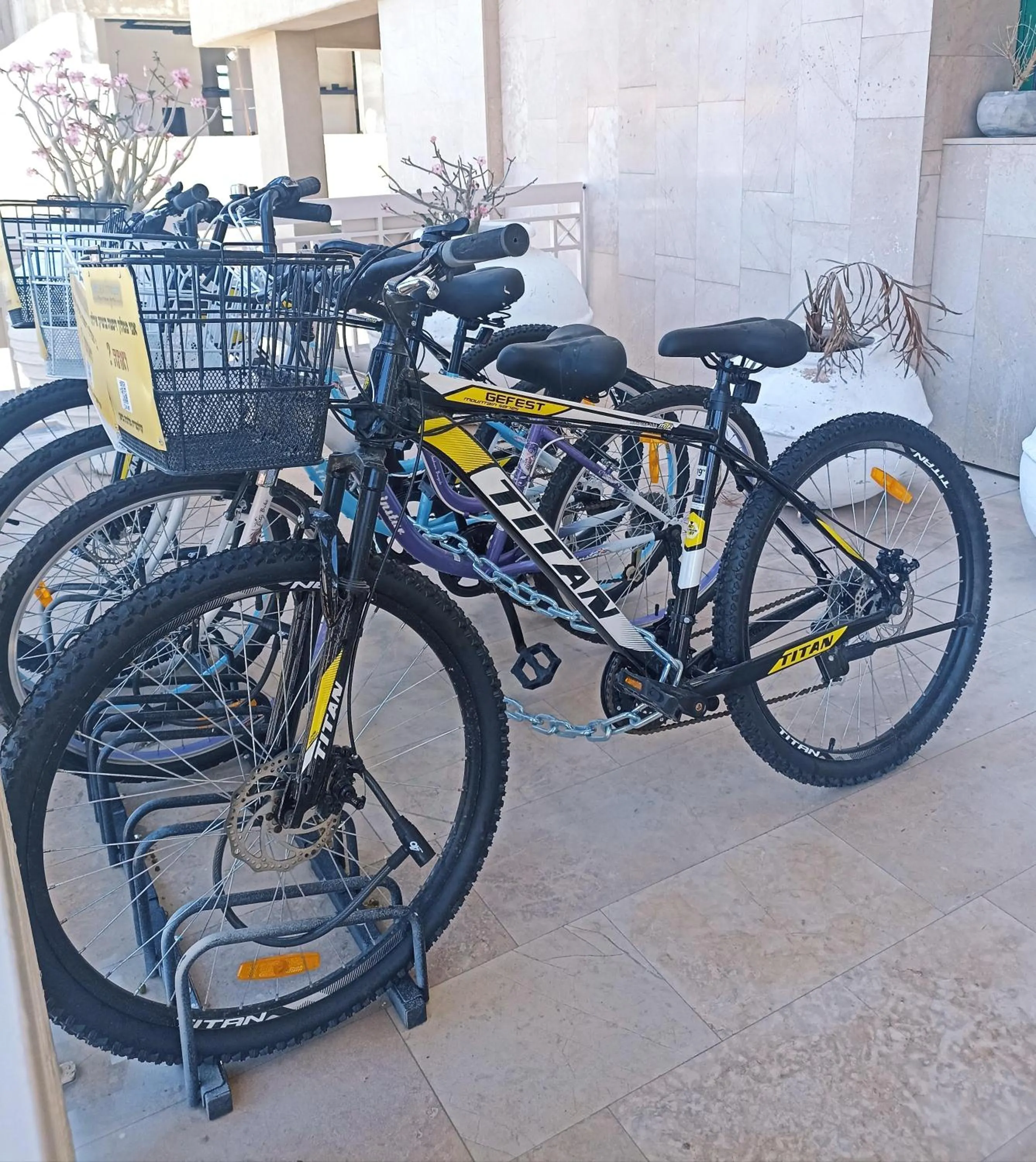 Cycling in Brown Eilat a member of Brown Hotels