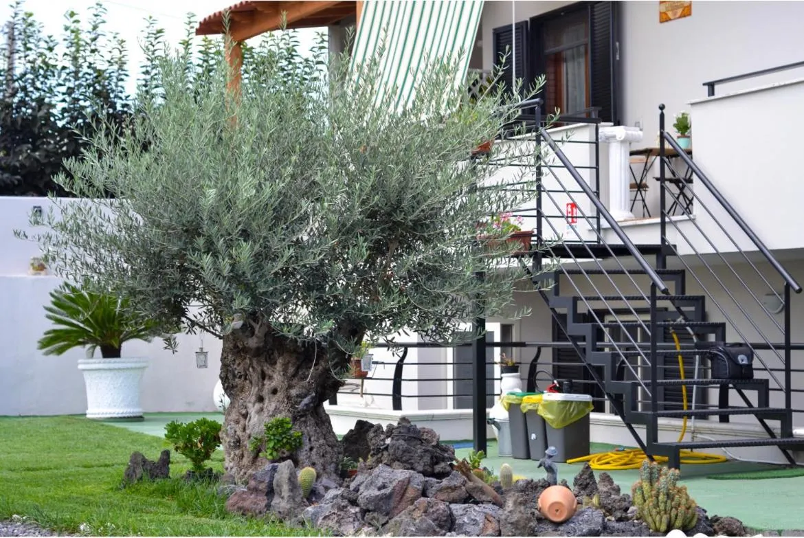 Garden view in Pompei Gryllus