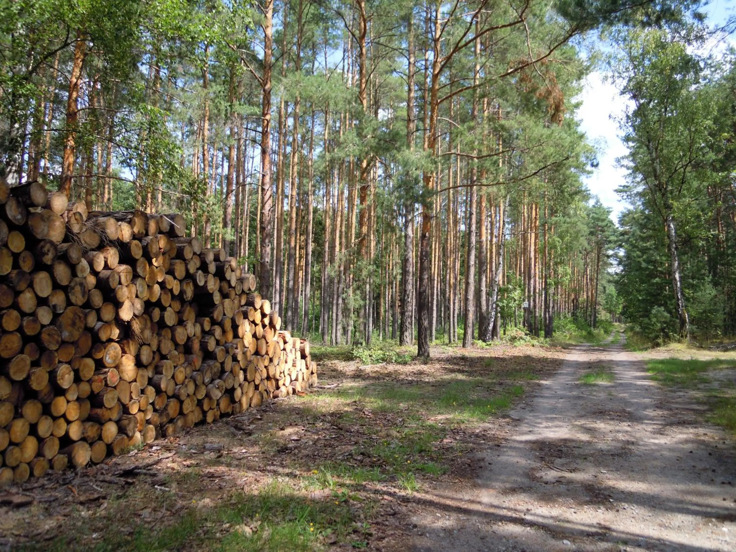 Hiking in Hotel Kaliebe