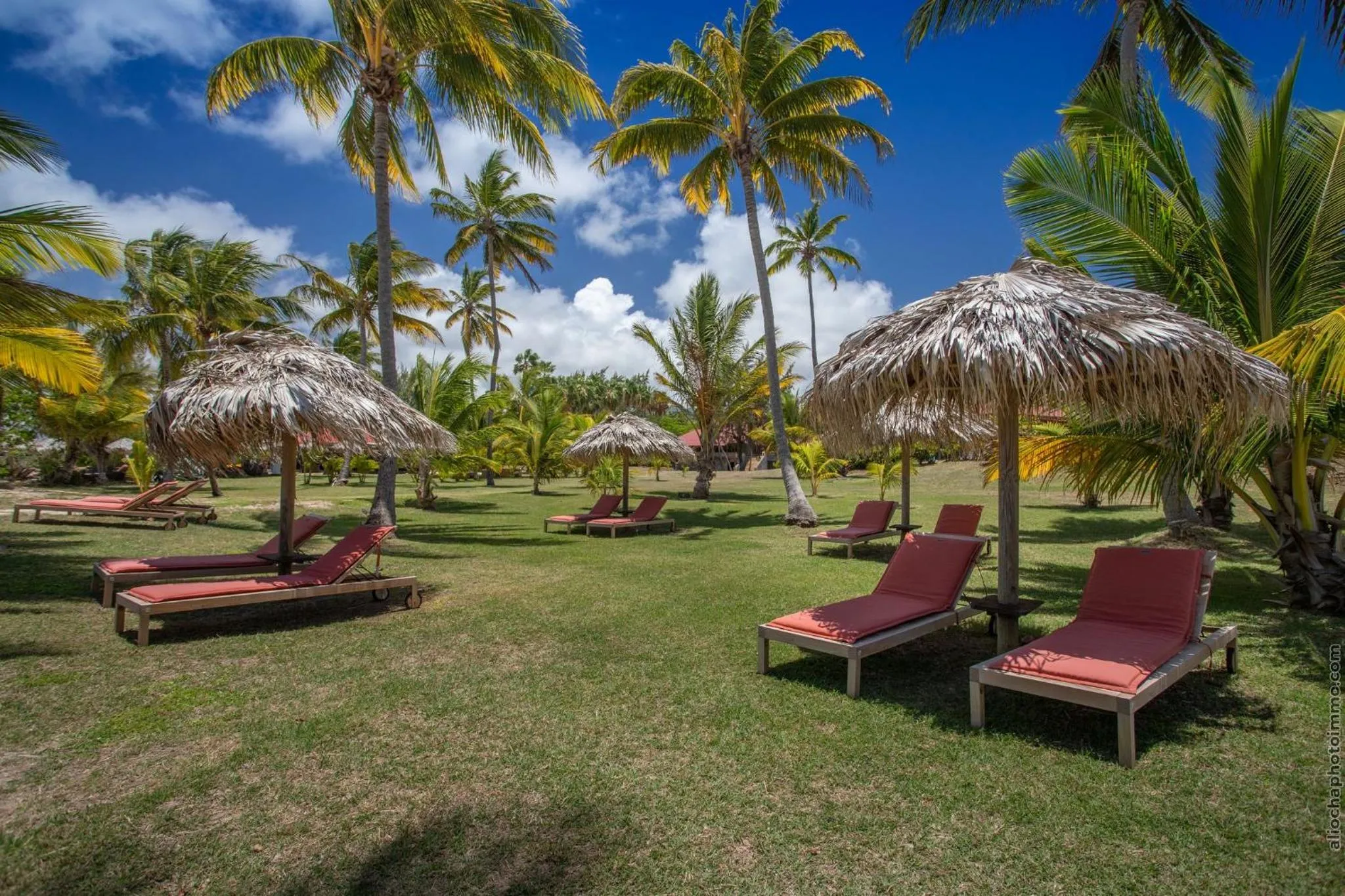 Garden in Les Villas du Lagon