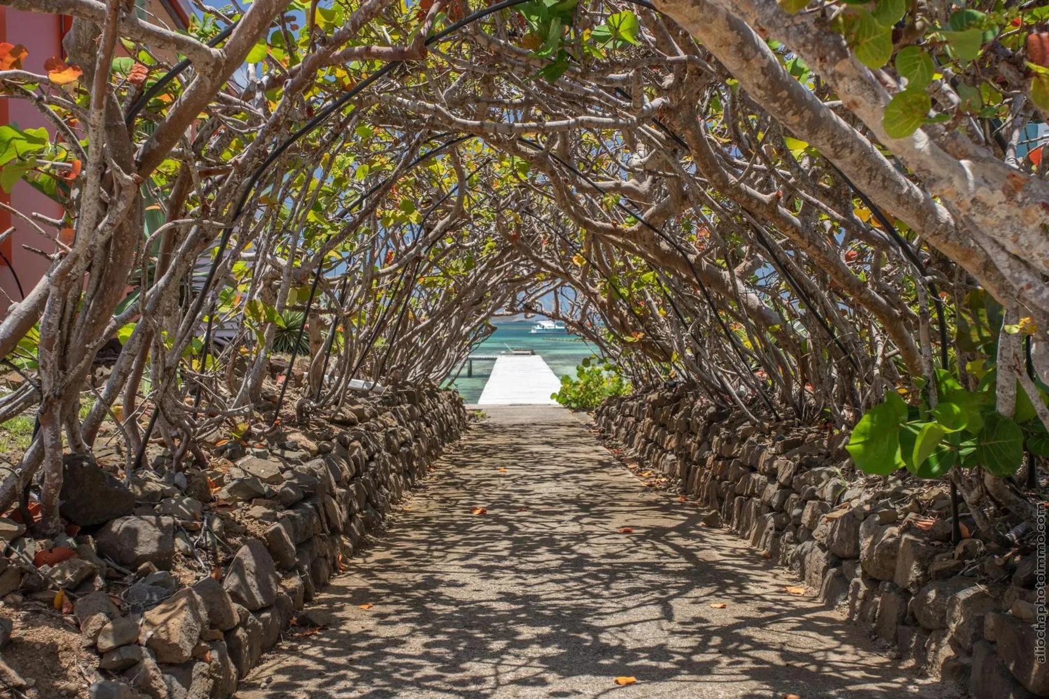 Sea view in Les Villas du Lagon