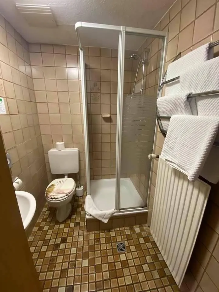 Bathroom in Hotel-Gasthof "Alter Ritter"