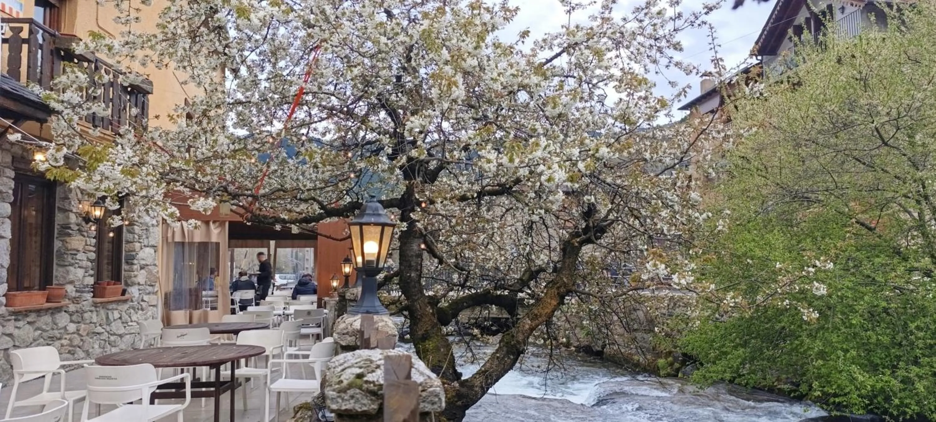 Restaurant/places to eat in Hotel Saurat