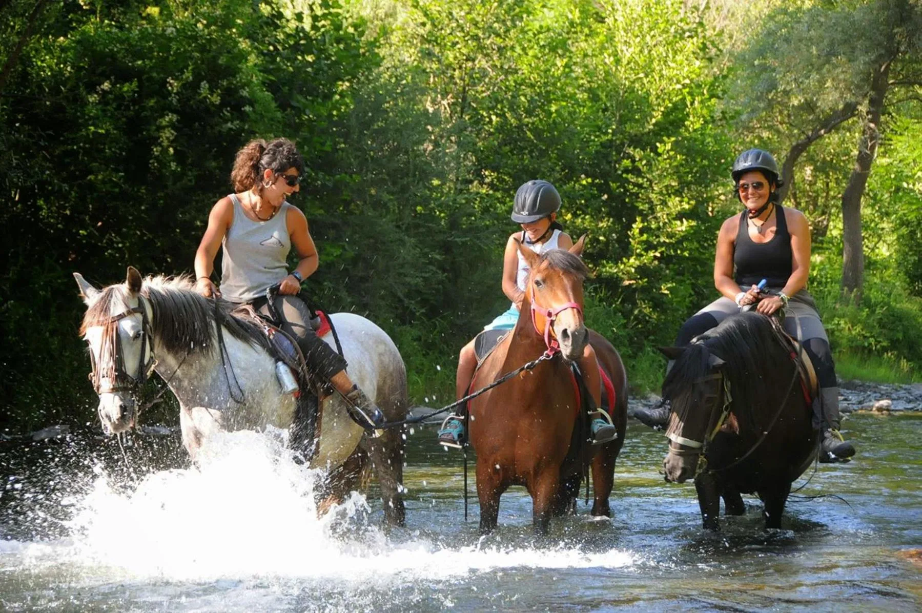 Horse-riding in Hotel Saurat