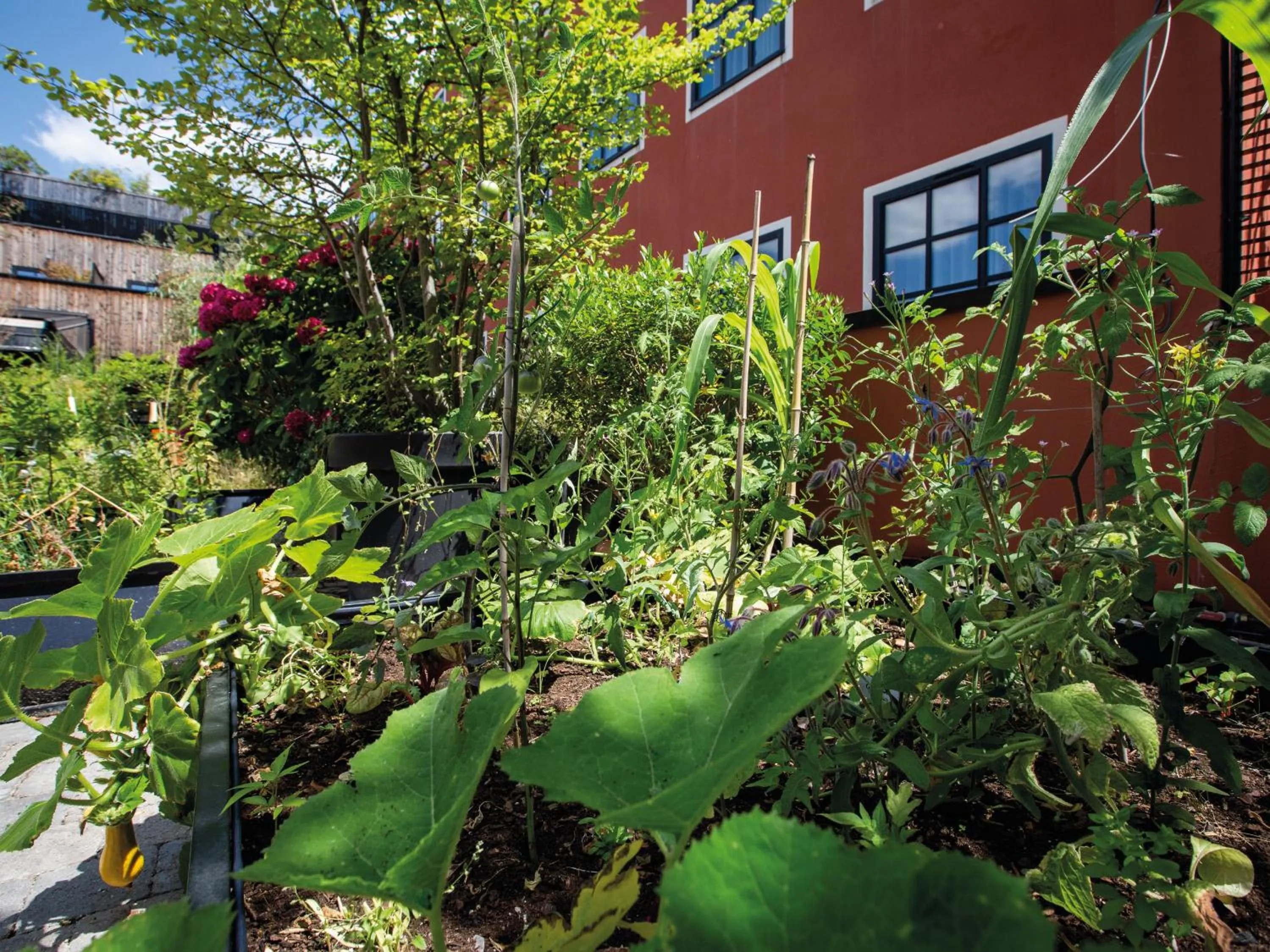 Patio in MOB HOTEL Paris Les Puces