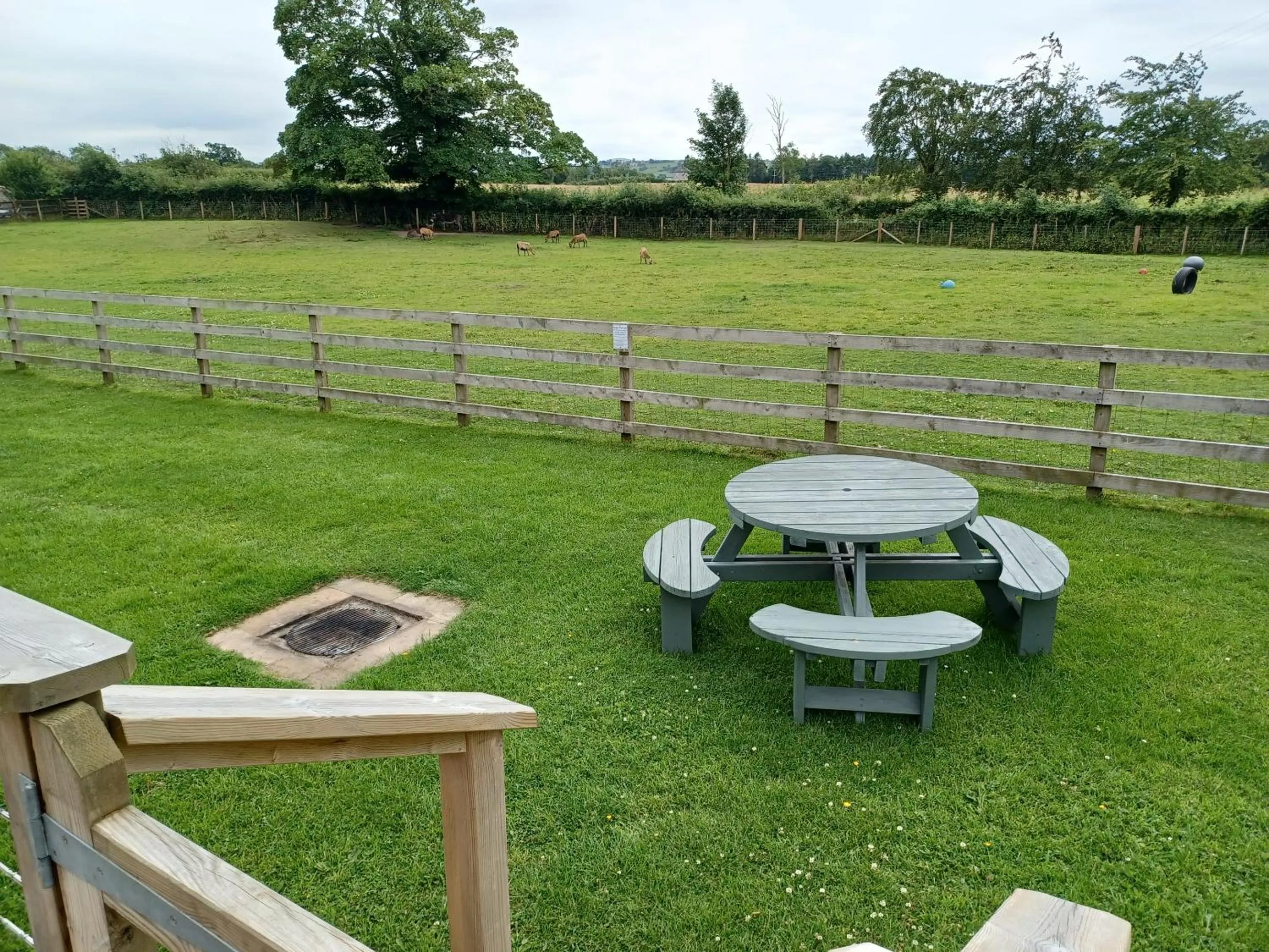 Garden in Green View Lodges