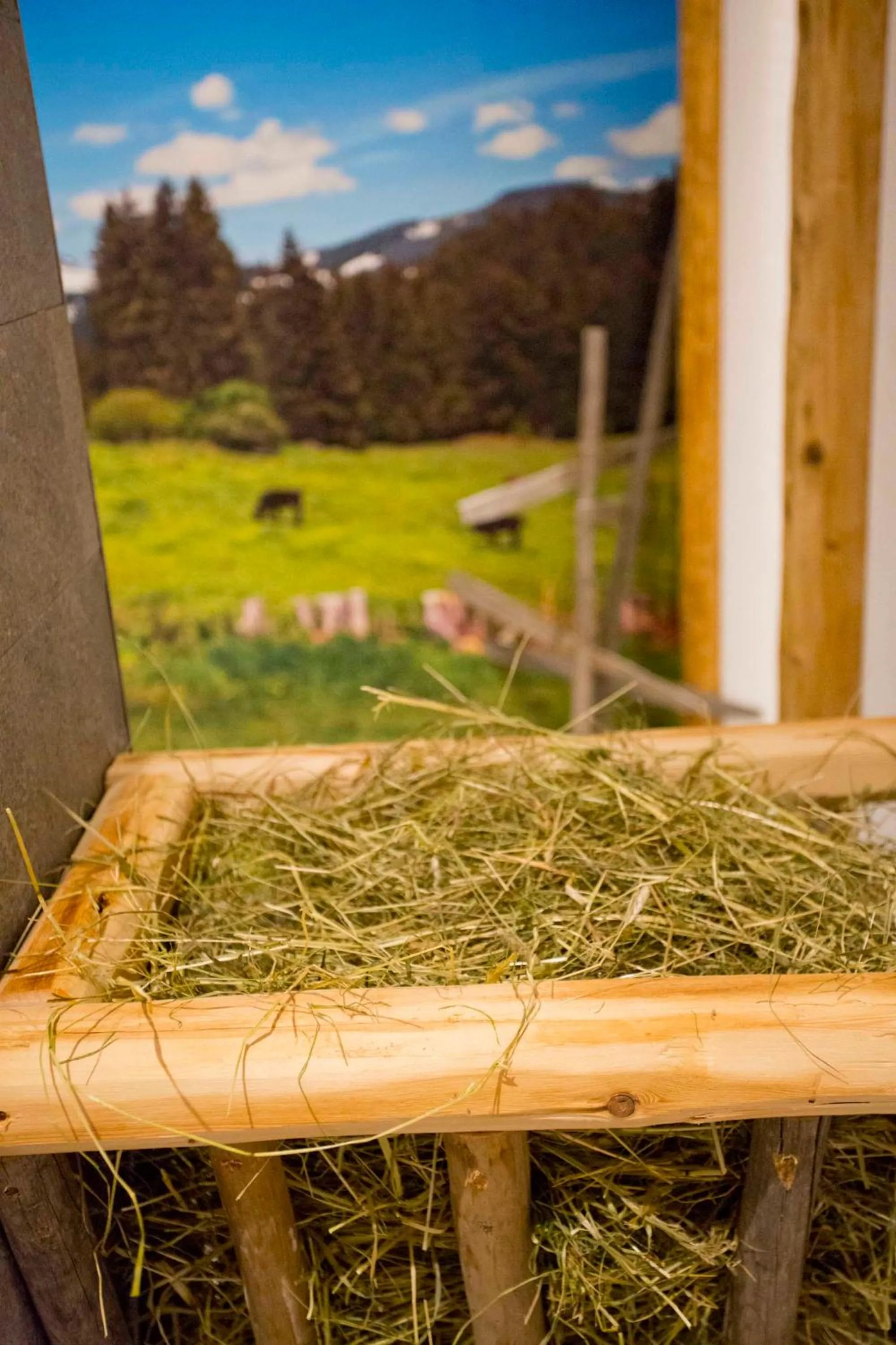 Spa and wellness centre/facilities in Berghoteltirol