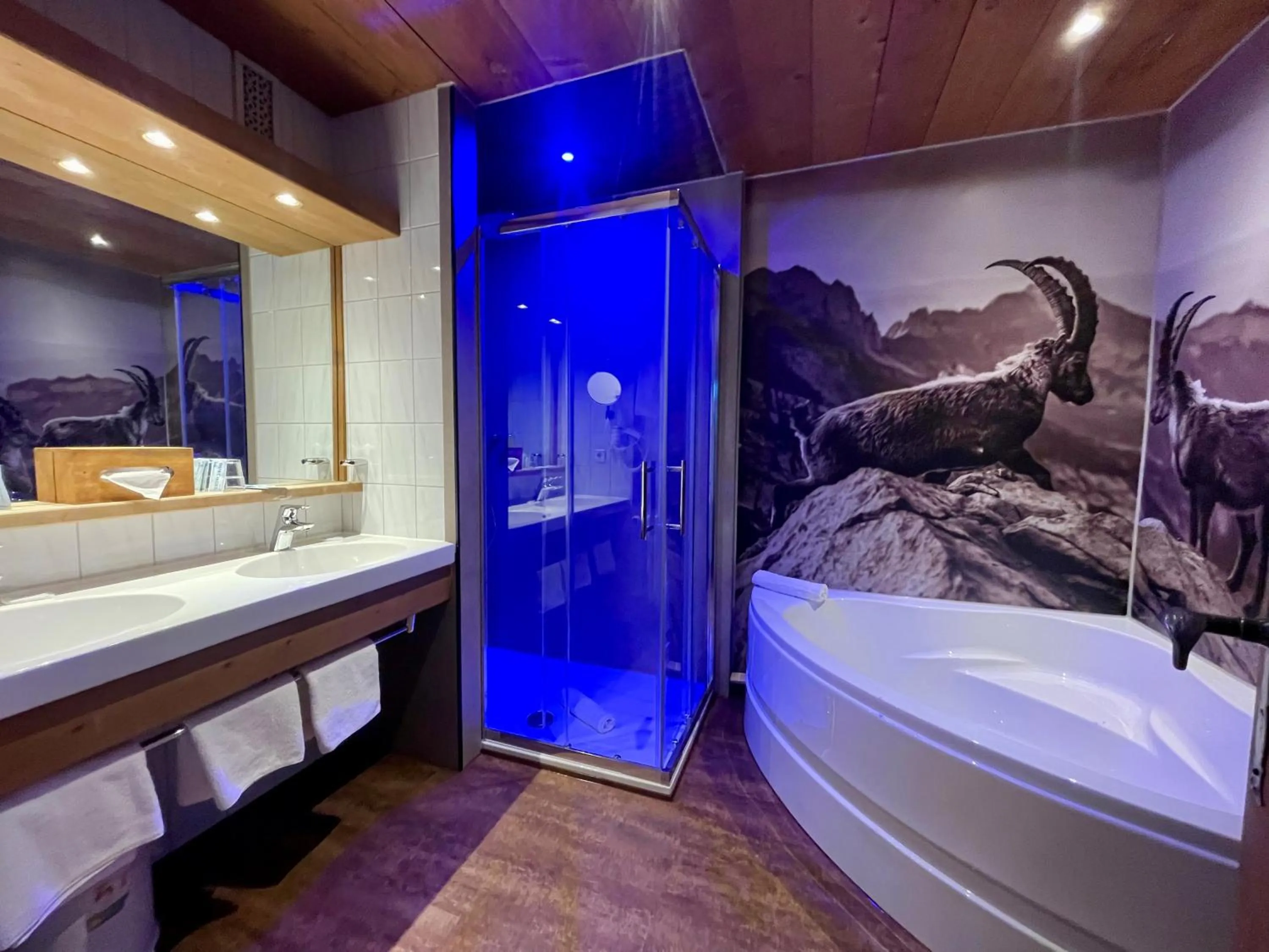 Shower in Berghoteltirol