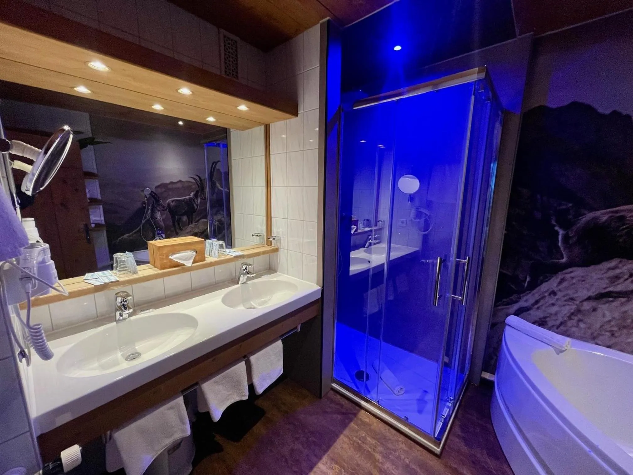 Bathroom in Berghoteltirol