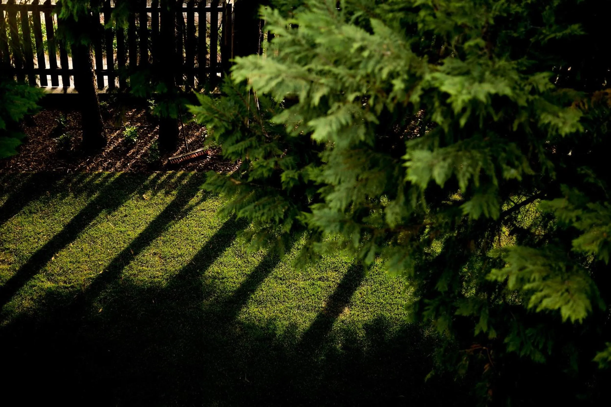 Garden in Villa Oliver 3 Siófok