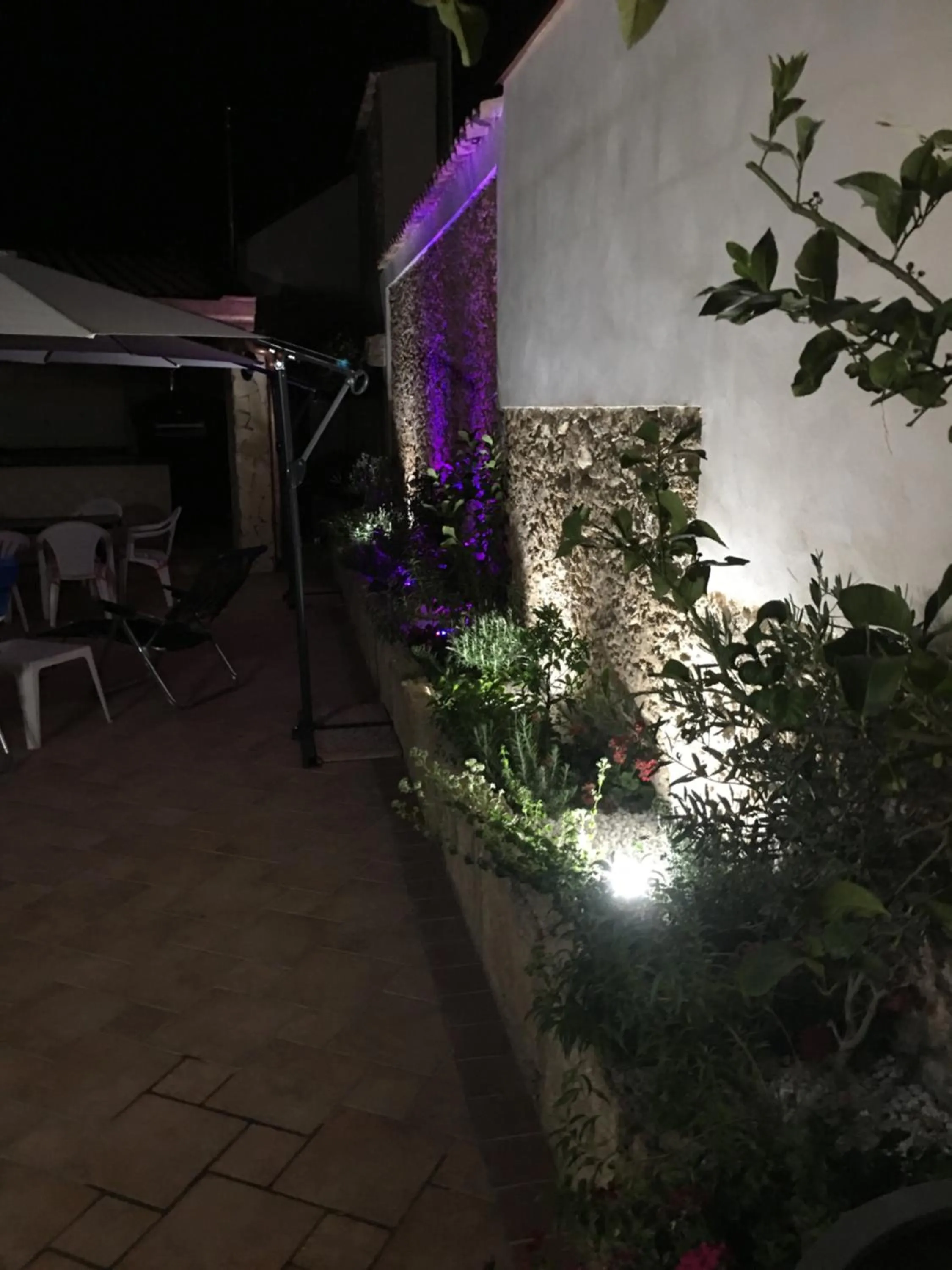 Garden in B&B ARCHIMEDE