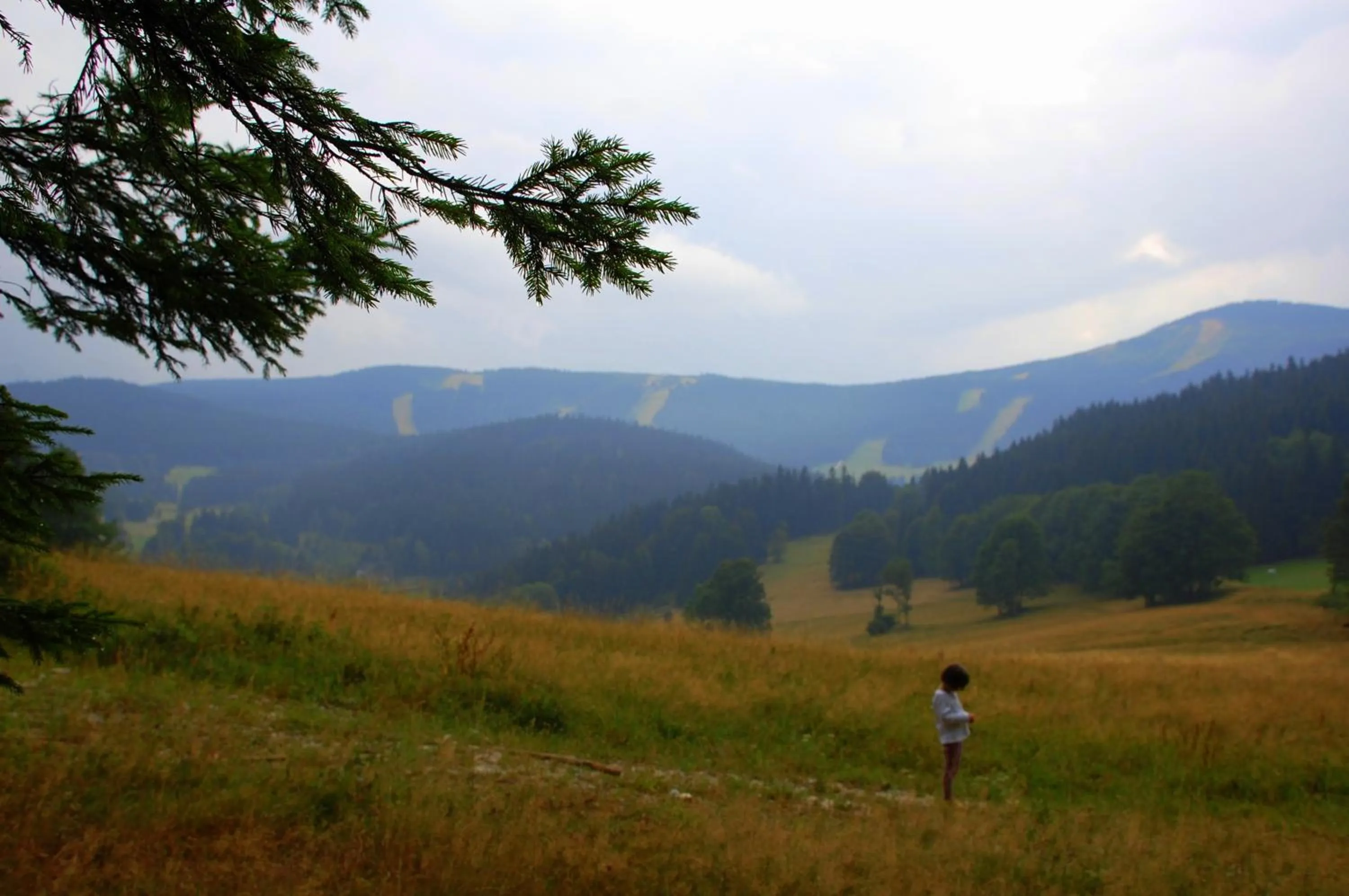 Neighbourhood in Willa Rudy