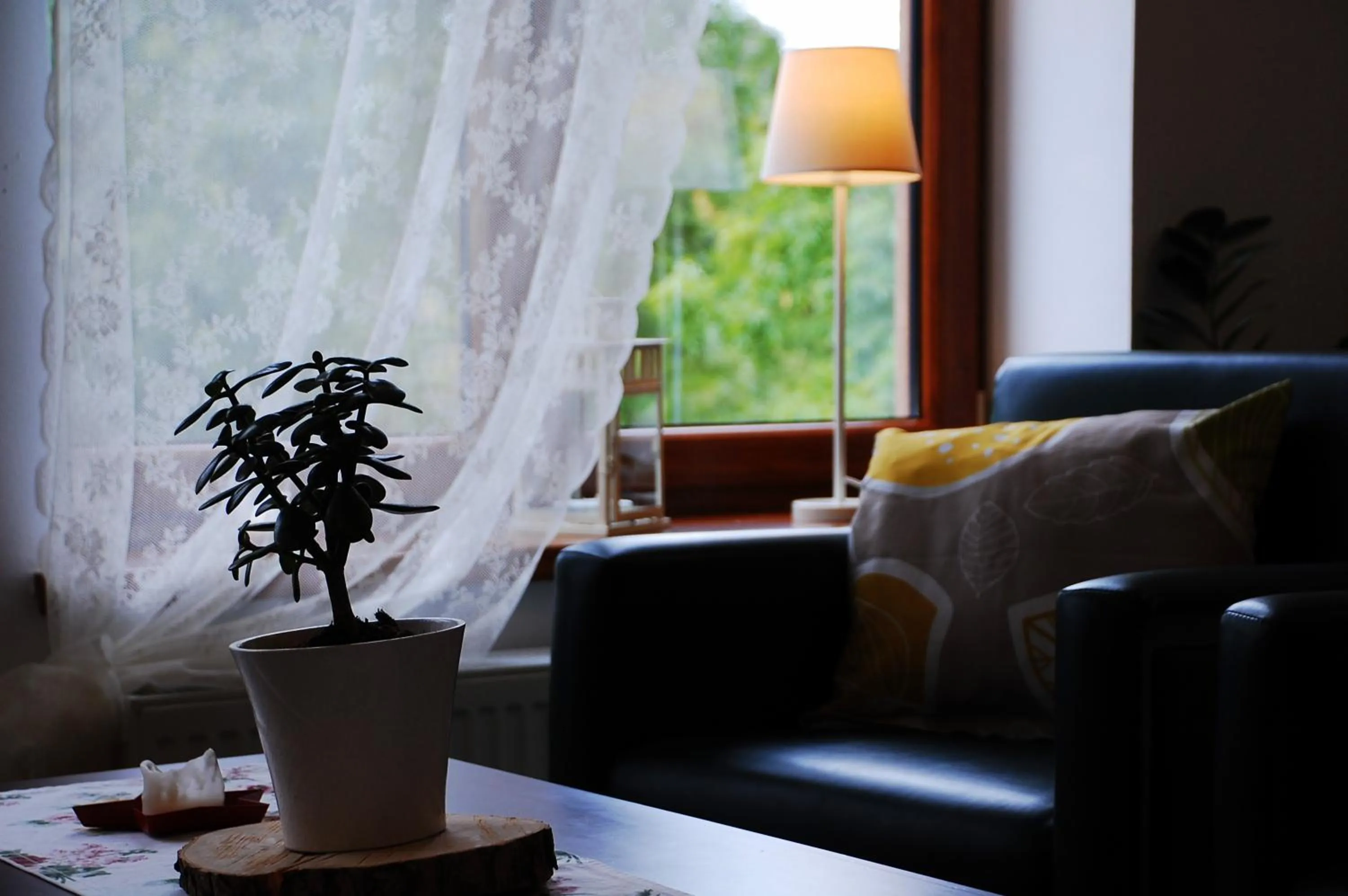 Communal lounge/ TV room in Willa Rudy