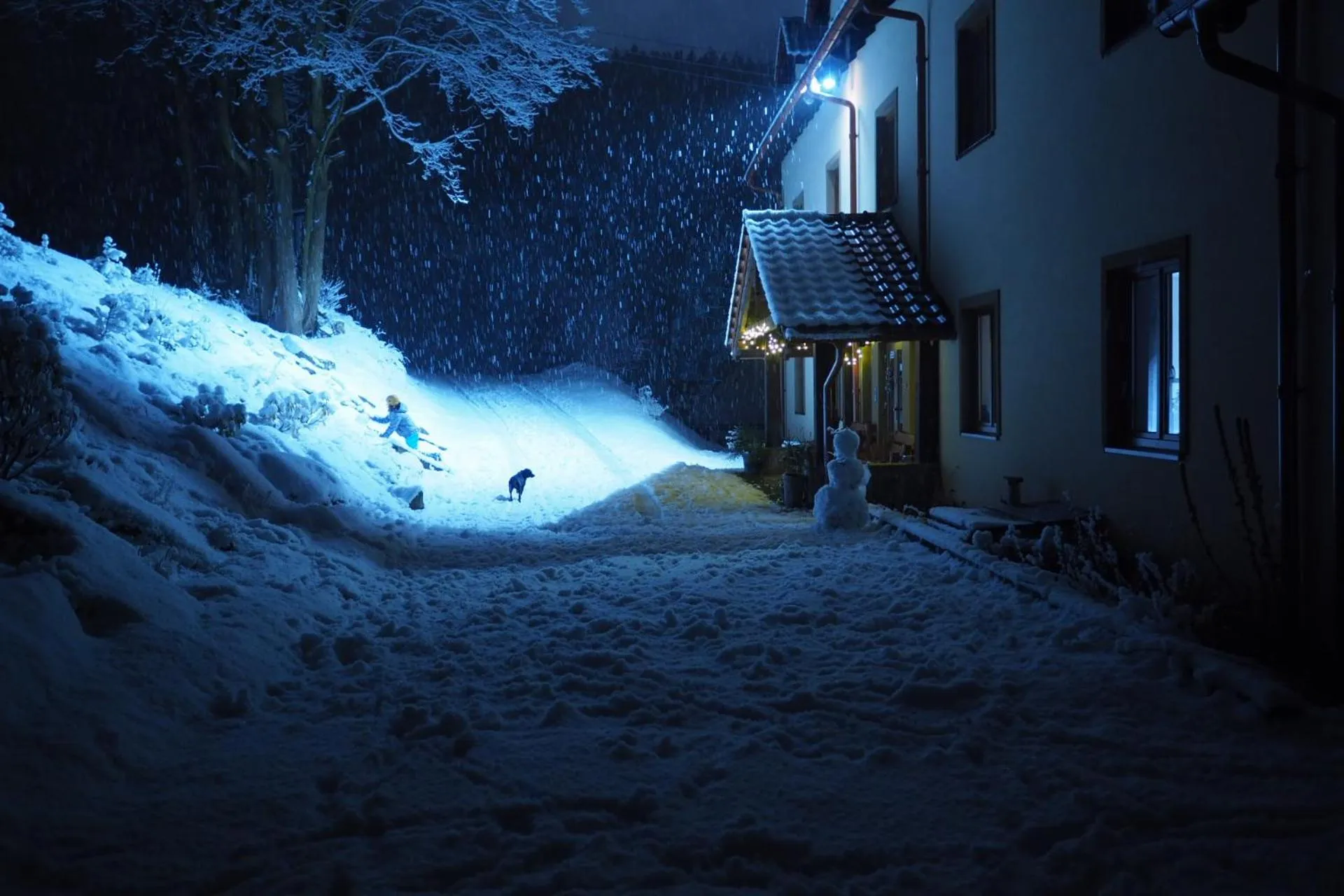 Property building in Willa Rudy