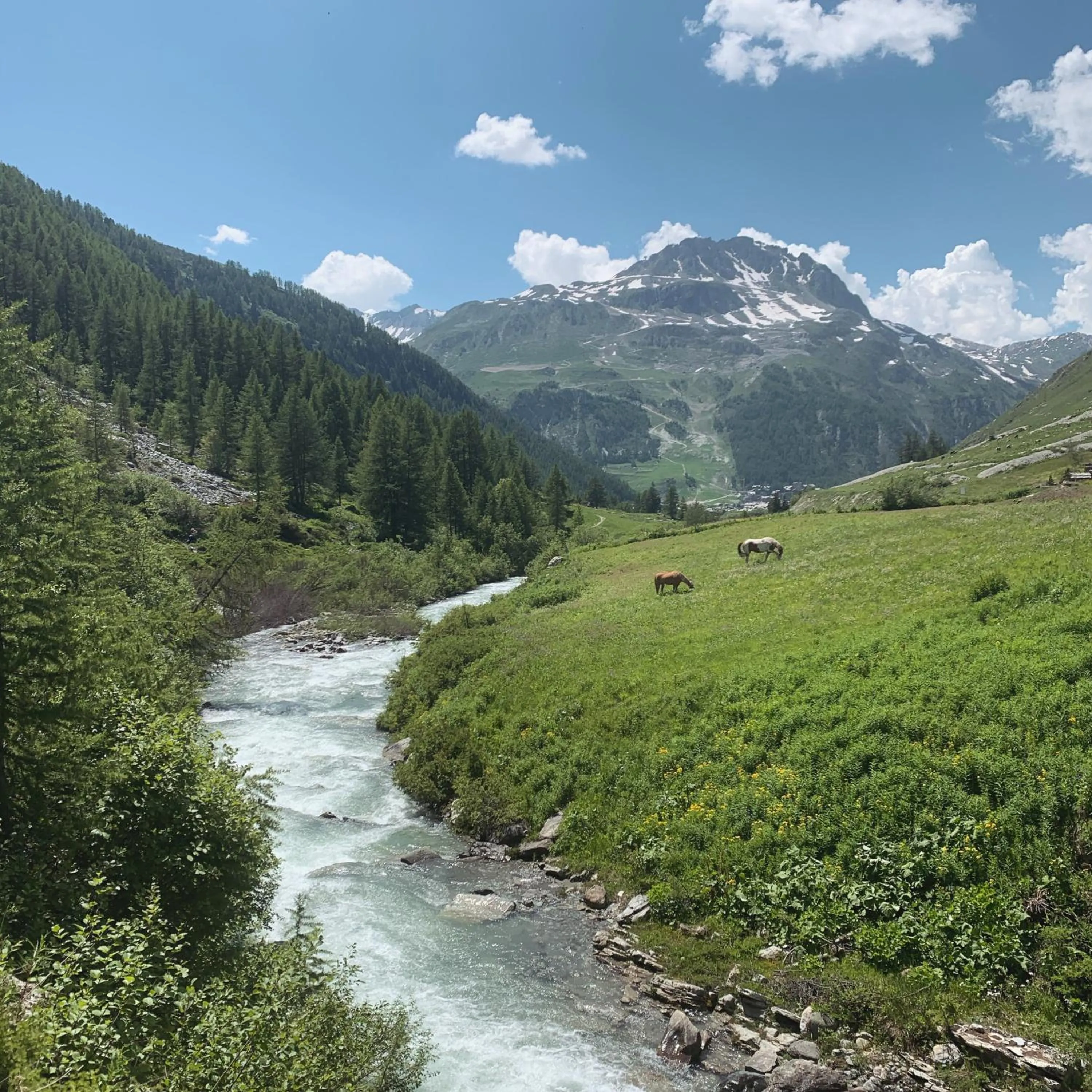 Fishing in Maison de Famille Les 5 Frères