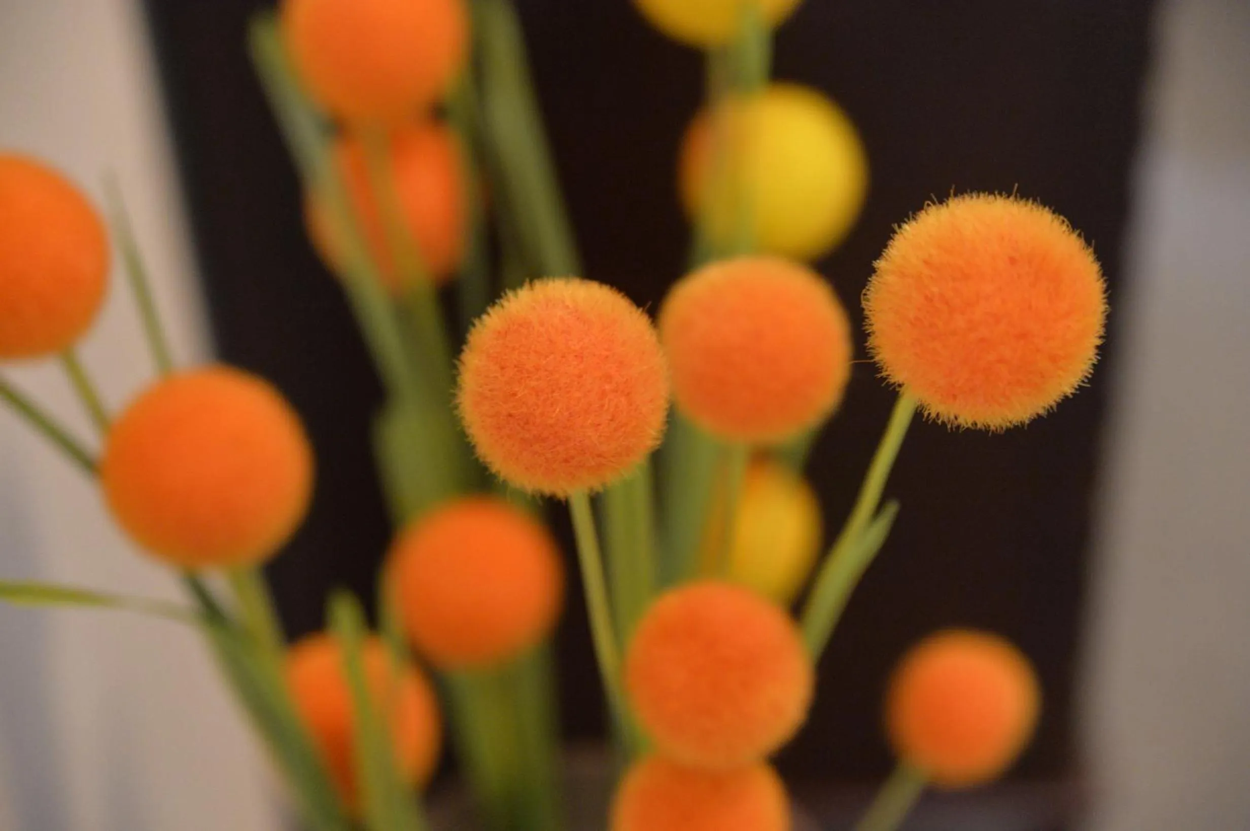 Spring in Verona Resorts Sharjah