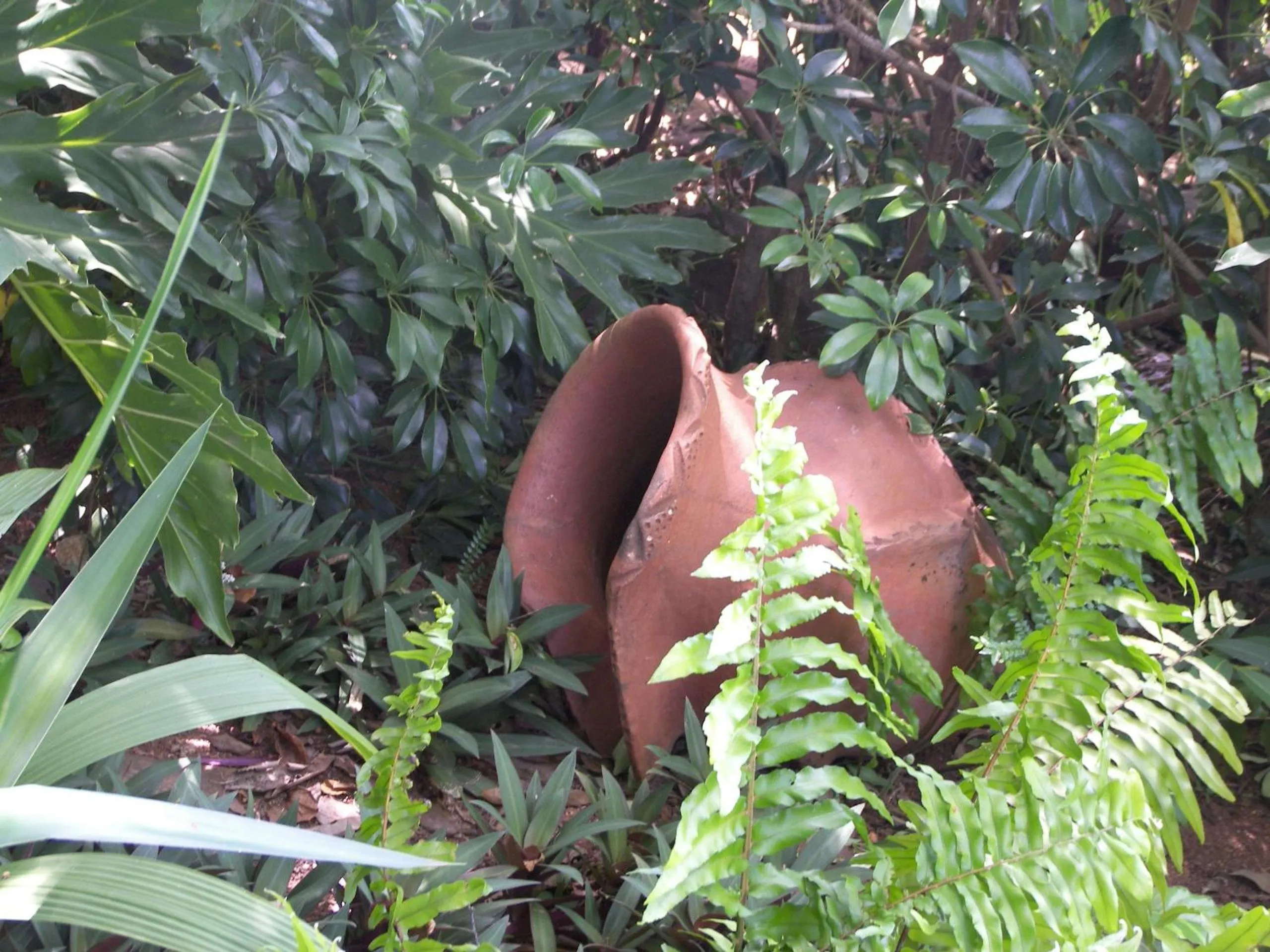 Garden in Tatenda Guest House