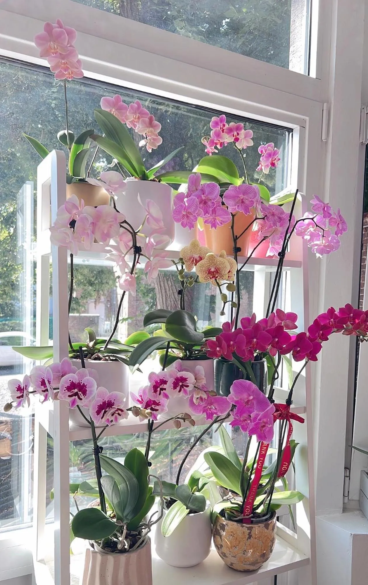 Mes Caprices B&B Villa Mosan Bord de Meuse