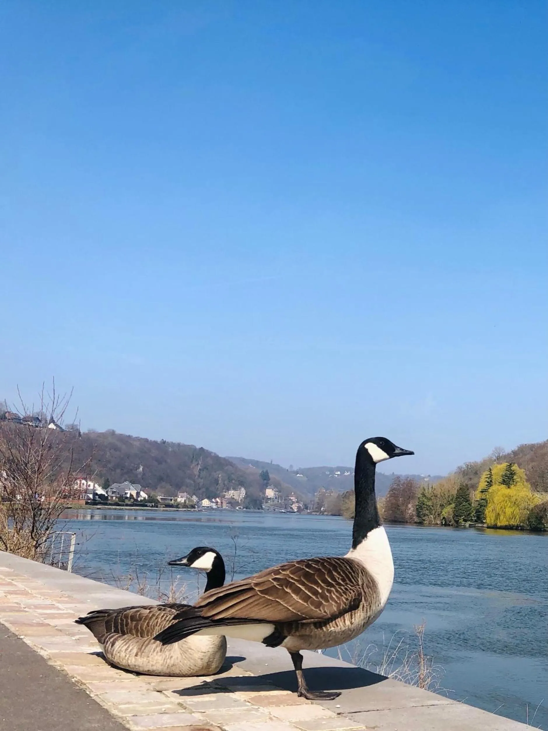 Mes Caprices B&B Villa Mosan Bord de Meuse