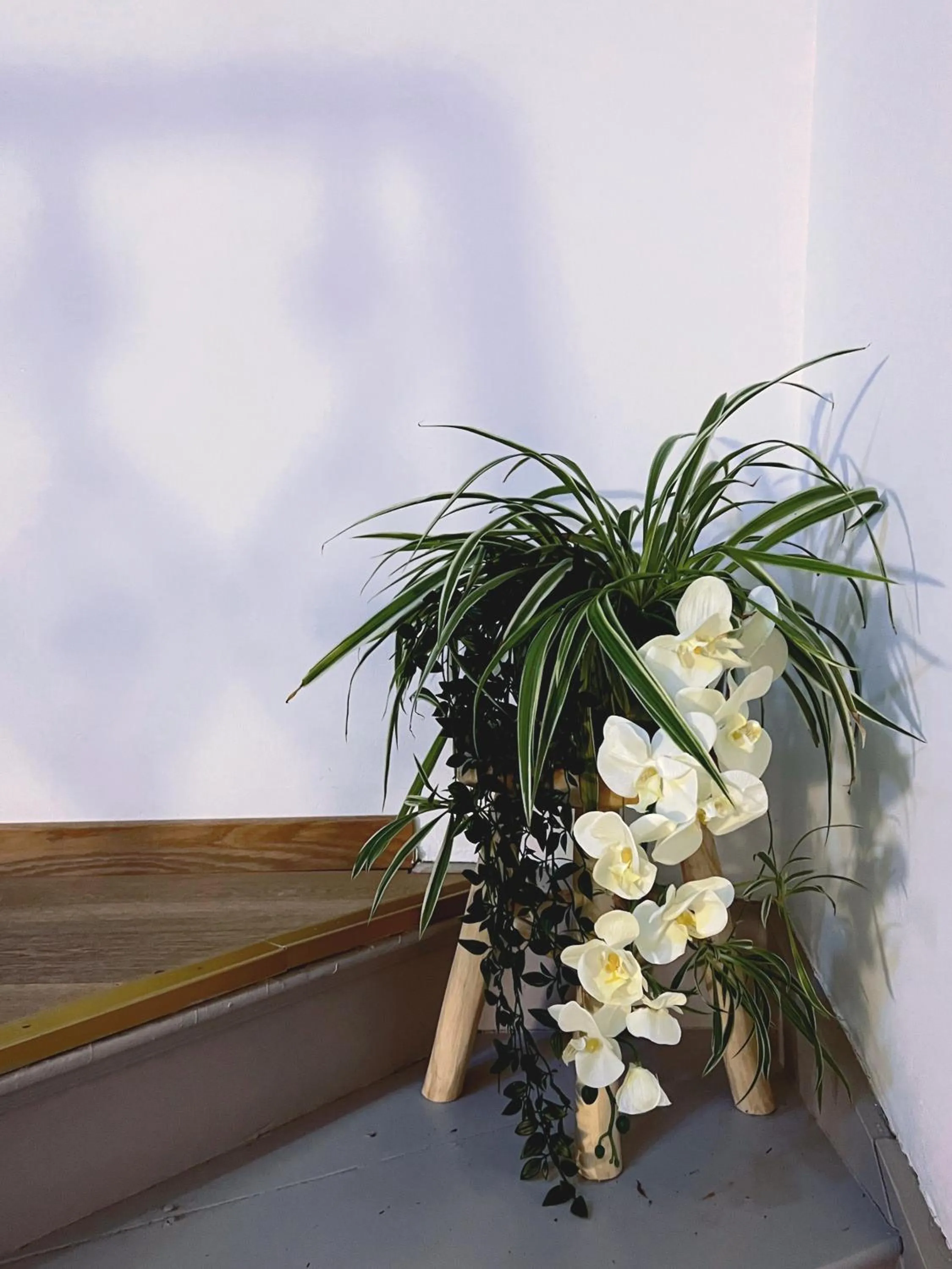 Mes Caprices B&B Villa Mosan Bord de Meuse