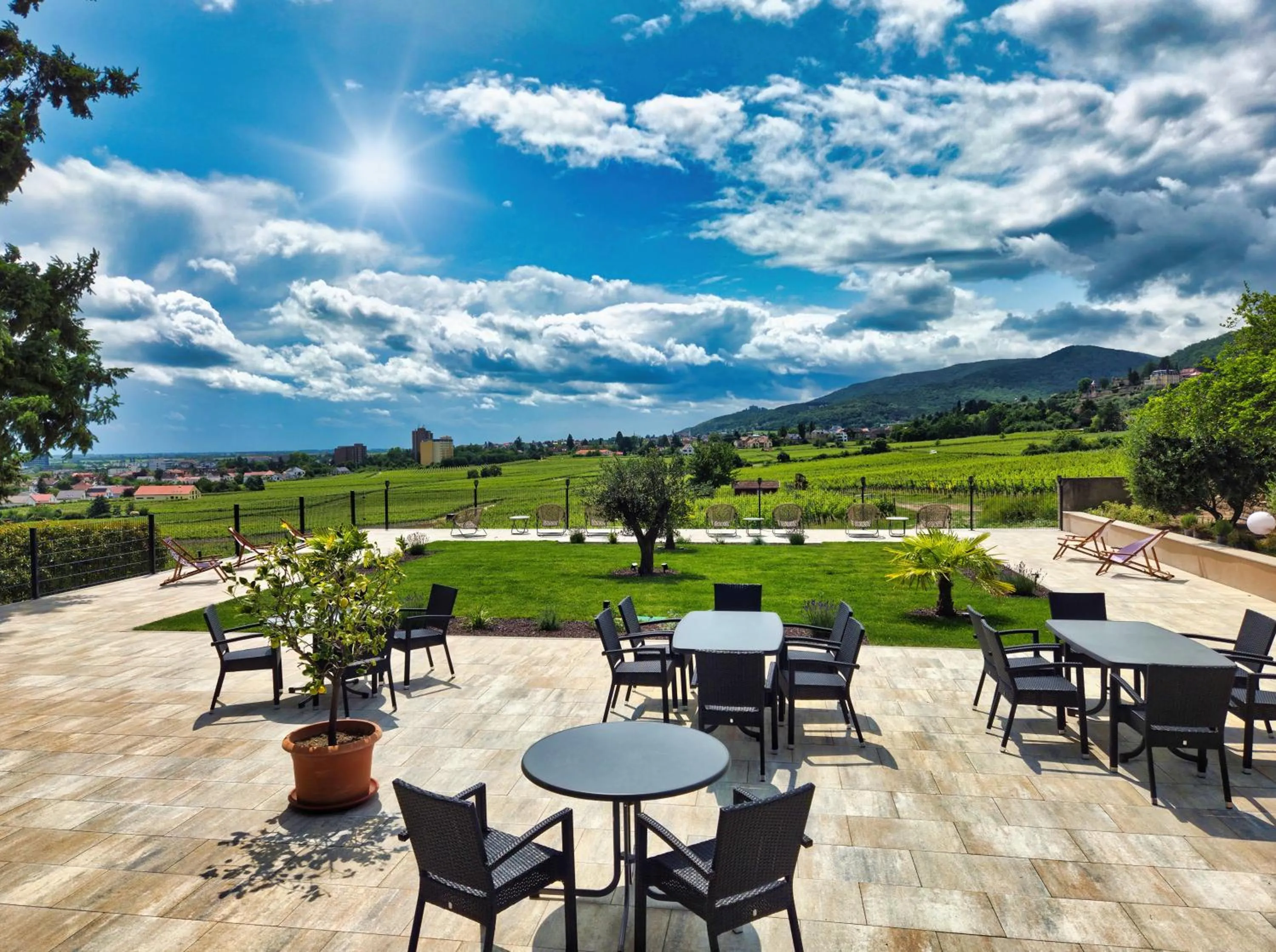 Garden in Hotel Tenner