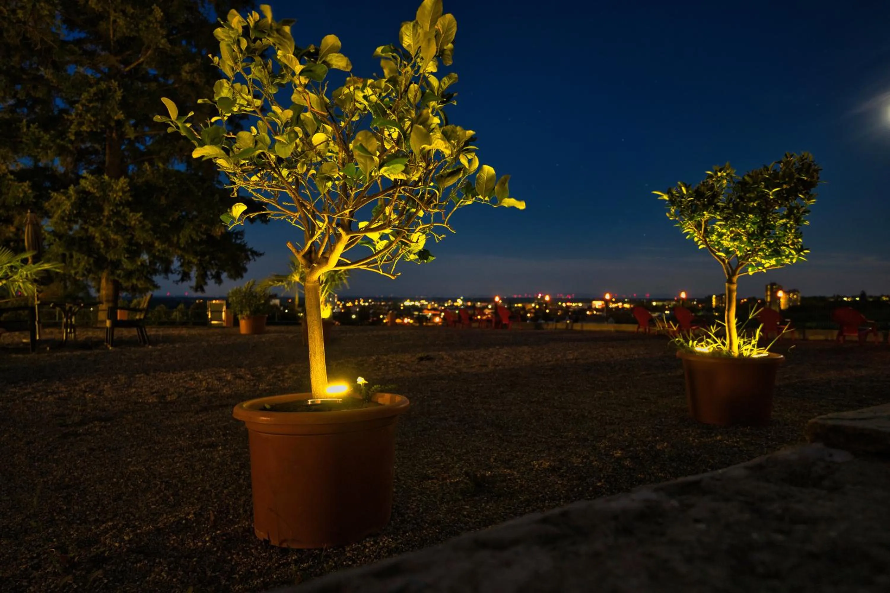 Garden in Hotel Tenner