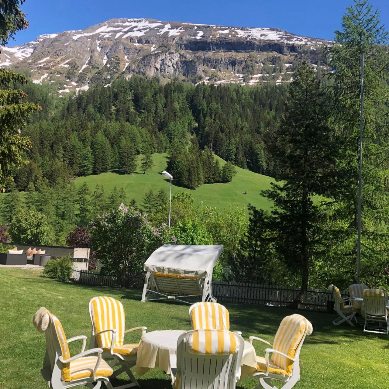 Garden in Hotel Regina Terme