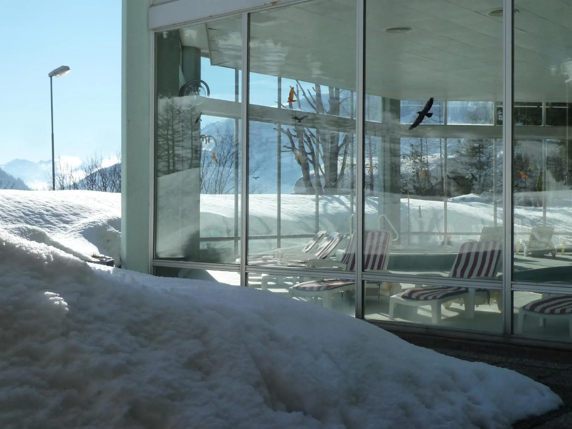 Swimming pool in Hotel Regina Terme