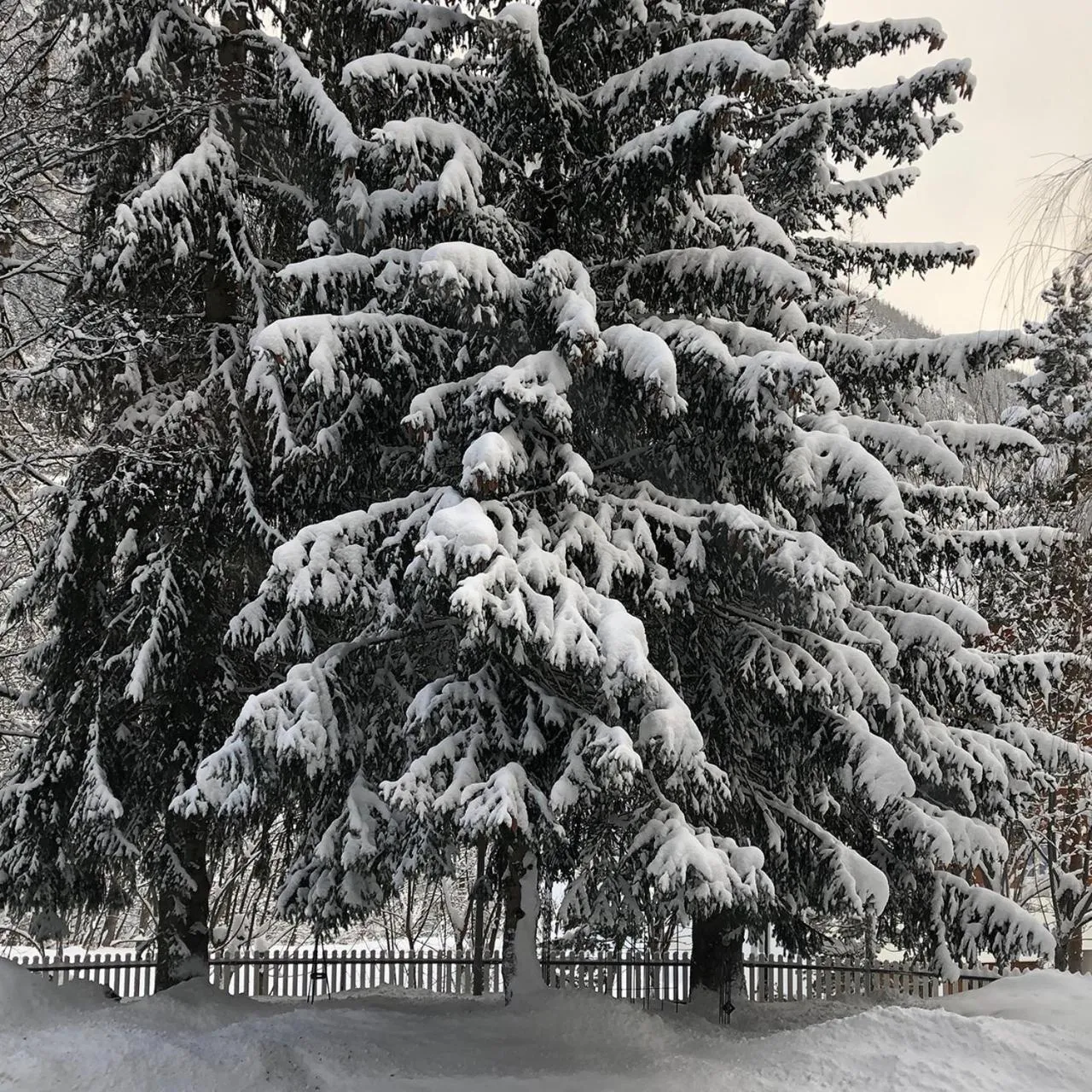 Natural landscape in Hotel Regina Terme