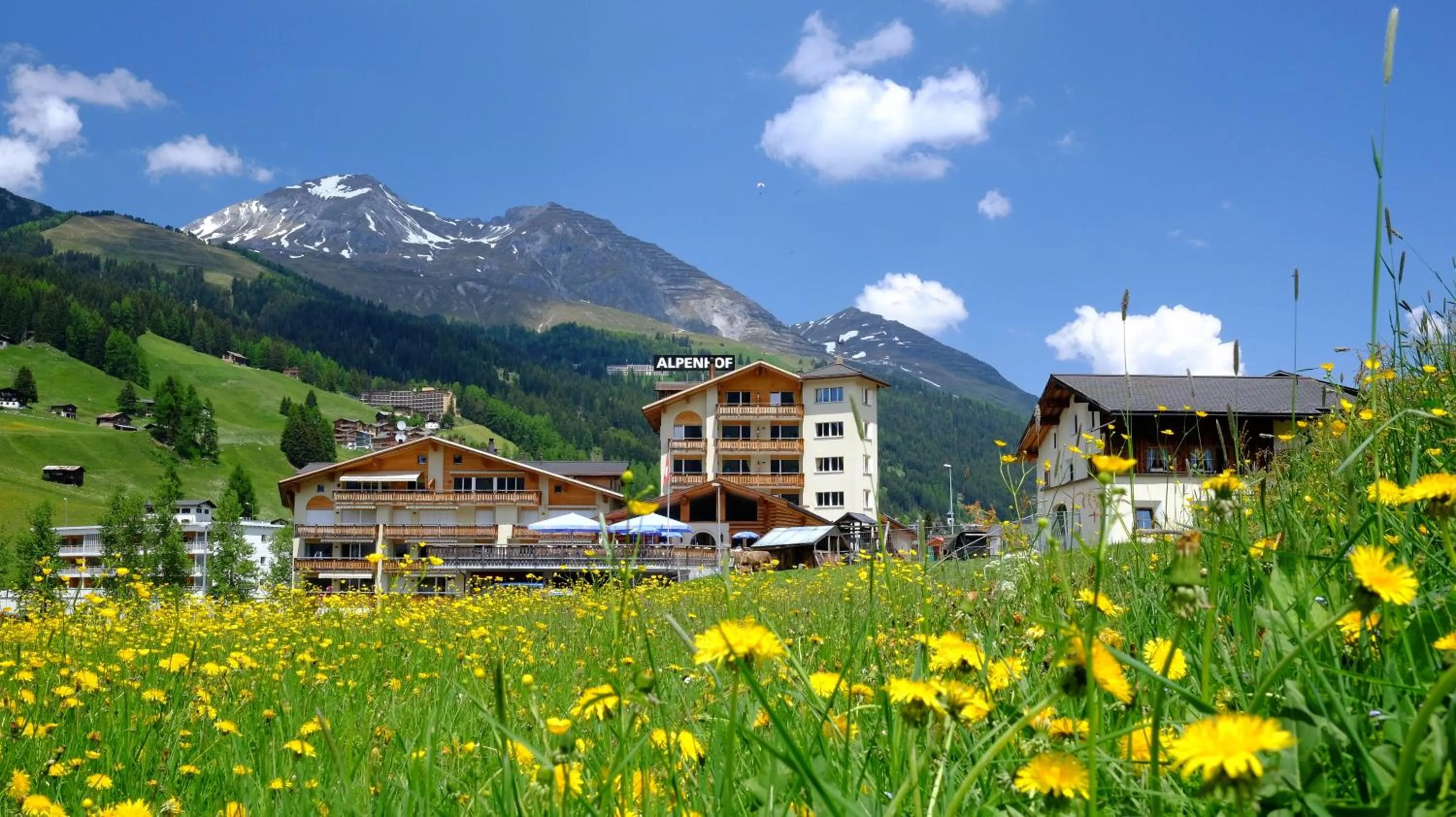 Facade/entrance in Alpenhof