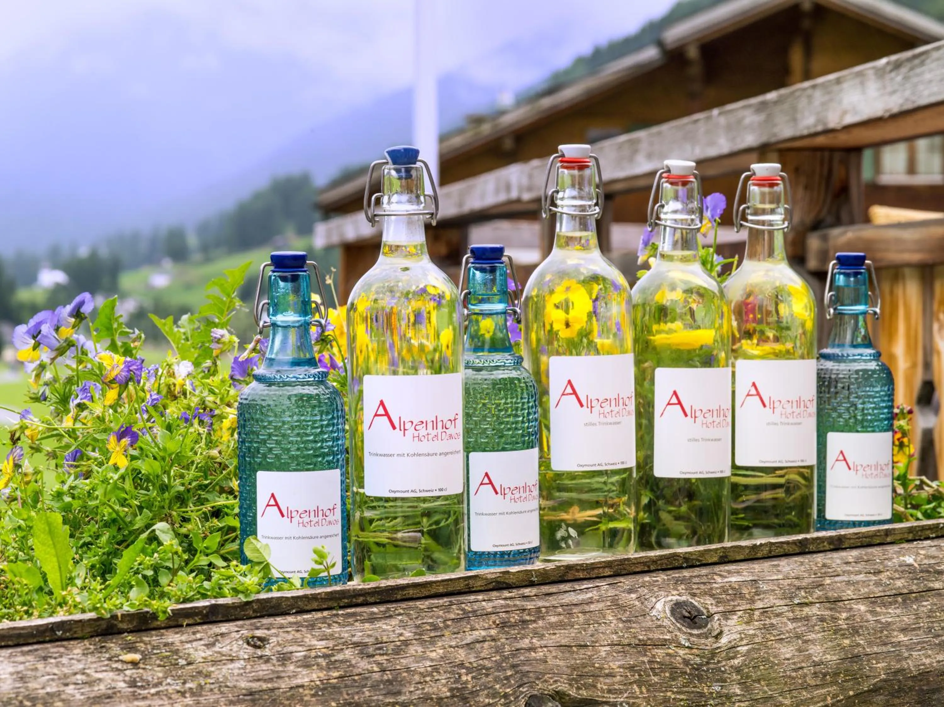 Non alcoholic drinks in Alpenhof