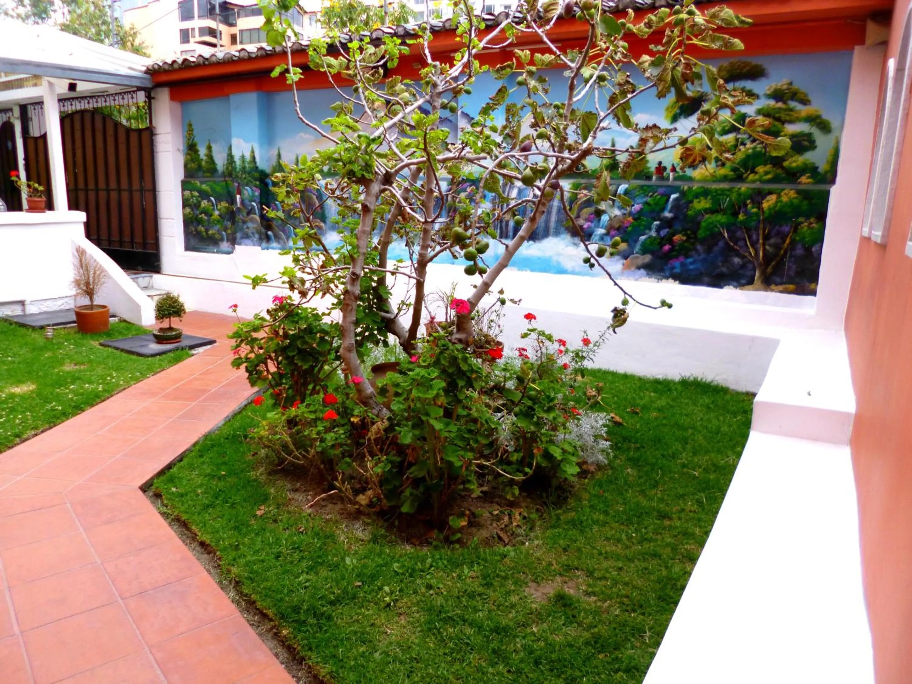 Garden view in Hotel Andino